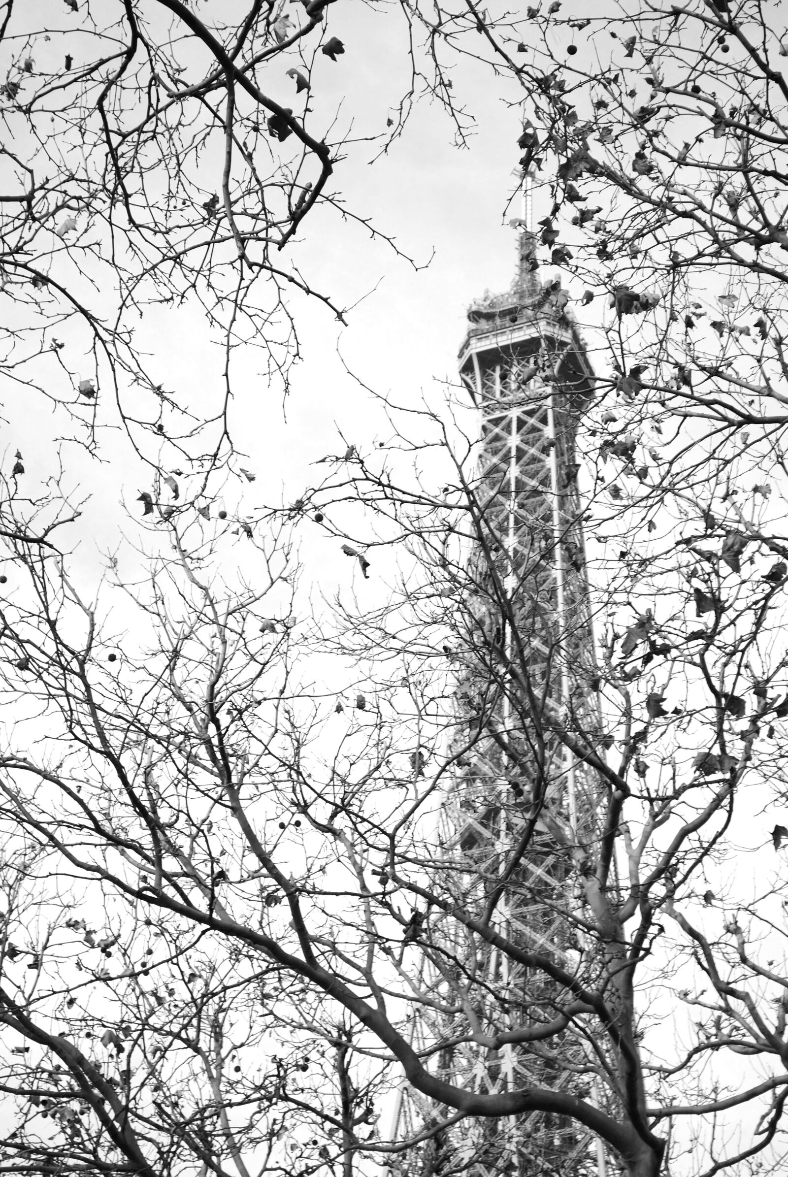 Nikon D3000 sample photo. Autumn, paris, park photography