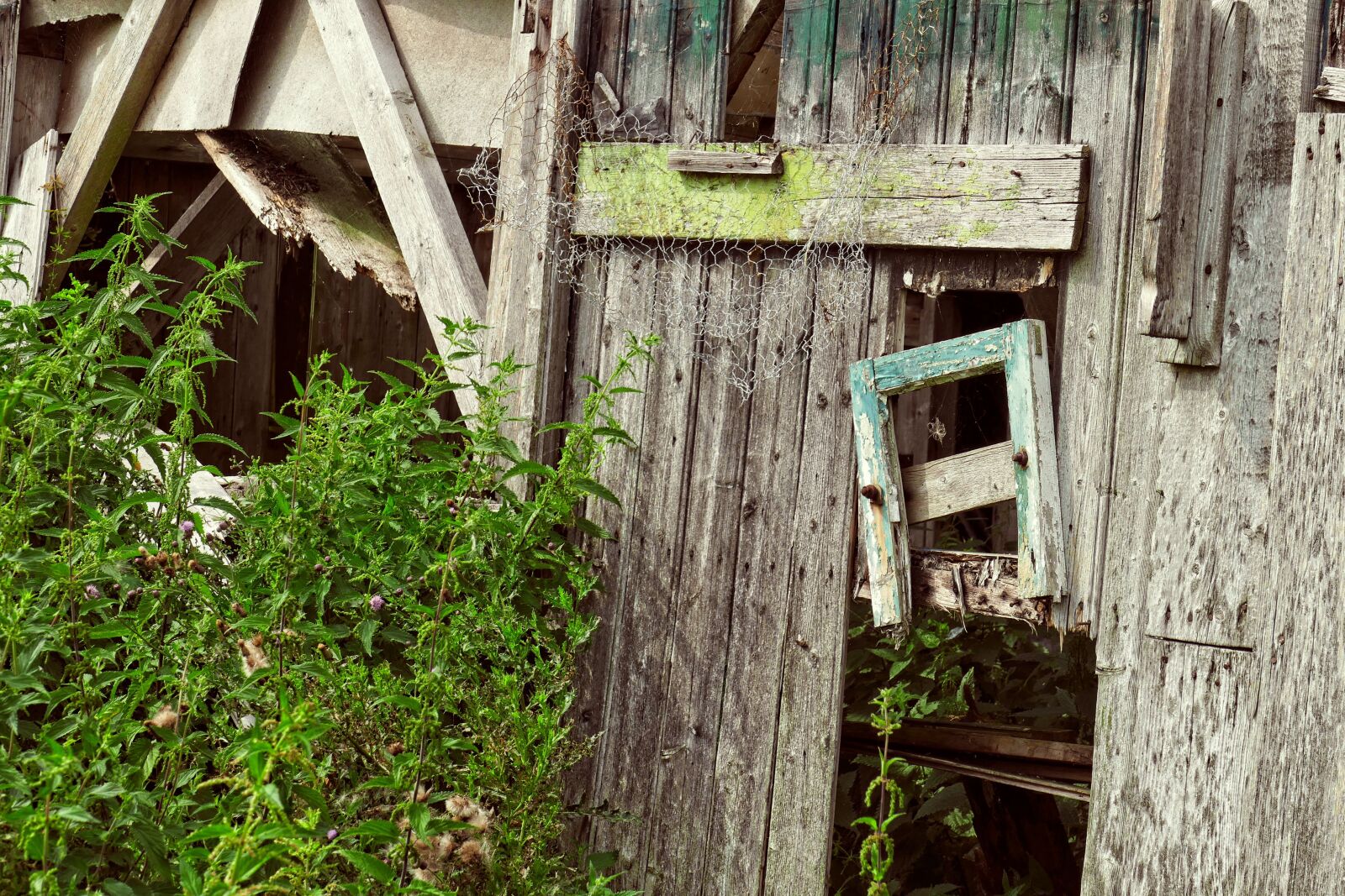 Panasonic Lumix DMC-FZ1000 sample photo. Expired, barn, vintage photography