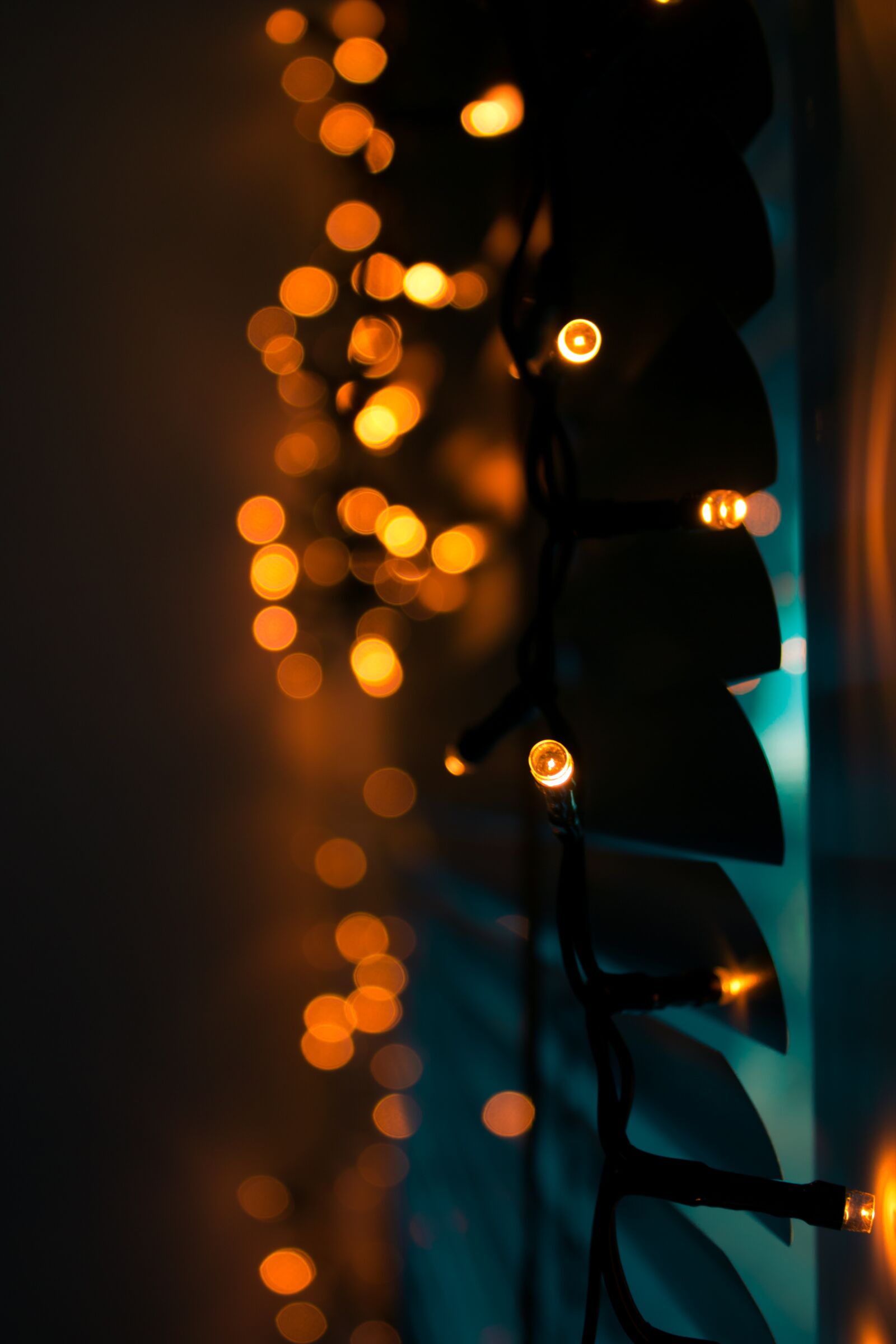 Canon EOS 70D + Canon EF-S 18-55mm F3.5-5.6 IS sample photo. Fairy lights, lights, mood photography