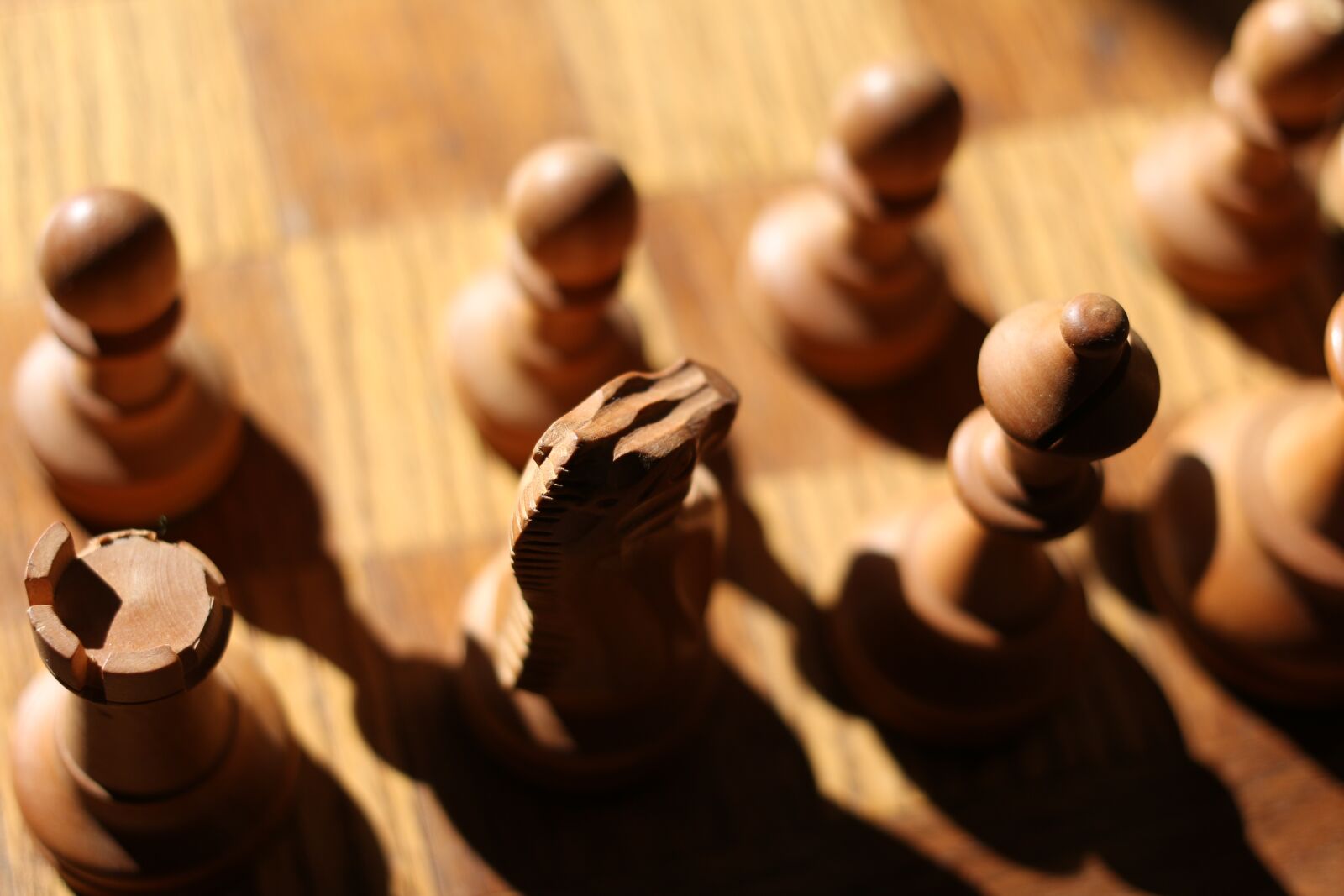 Canon EOS 70D + Canon EF 40mm F2.8 STM sample photo. Chess, pawns, game photography