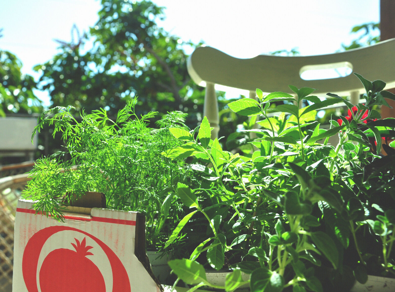 Nikon D90 sample photo. Box, chair, gardening, graden photography