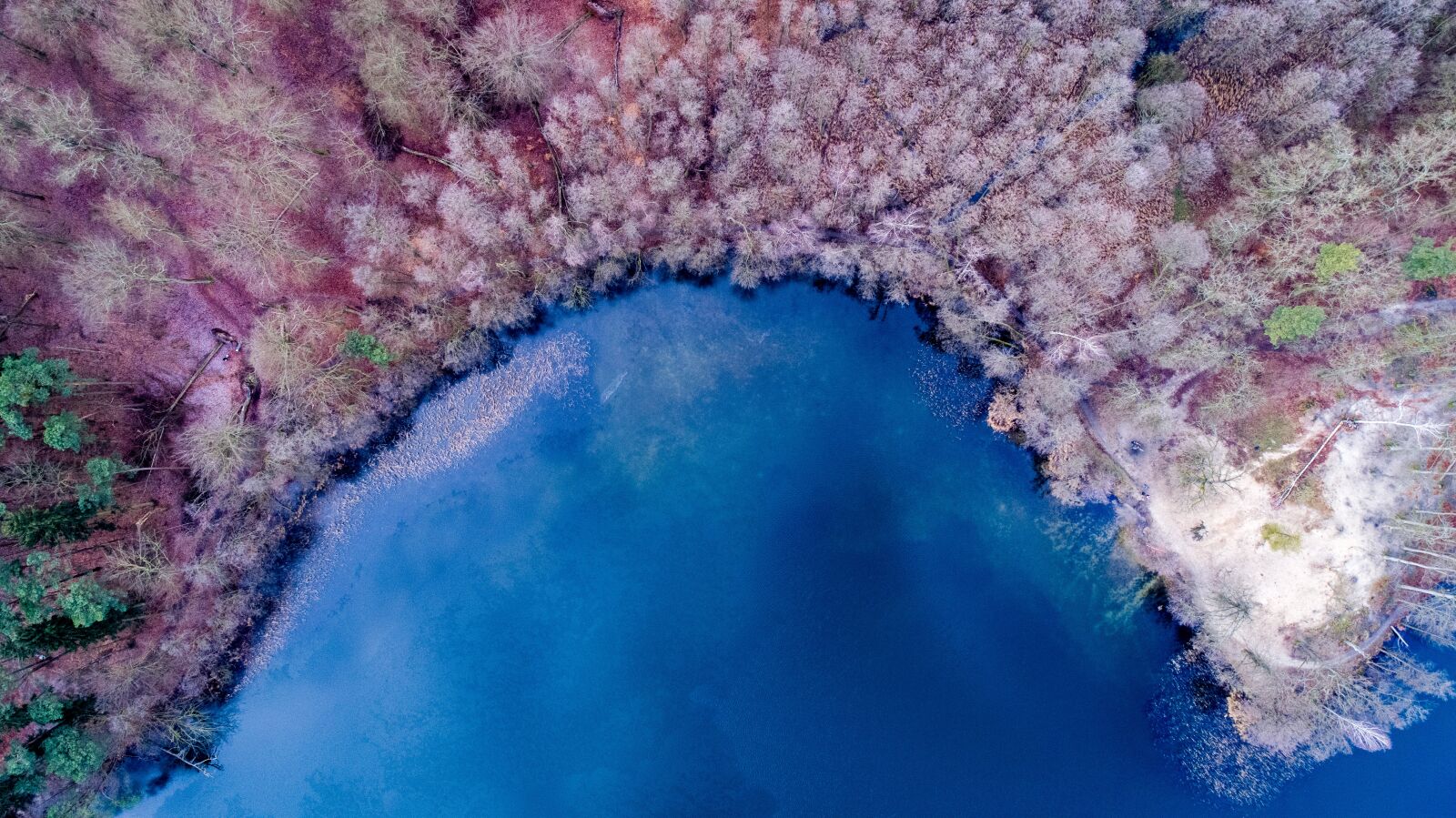 DJI FC6310 sample photo. Nature, background, color photography