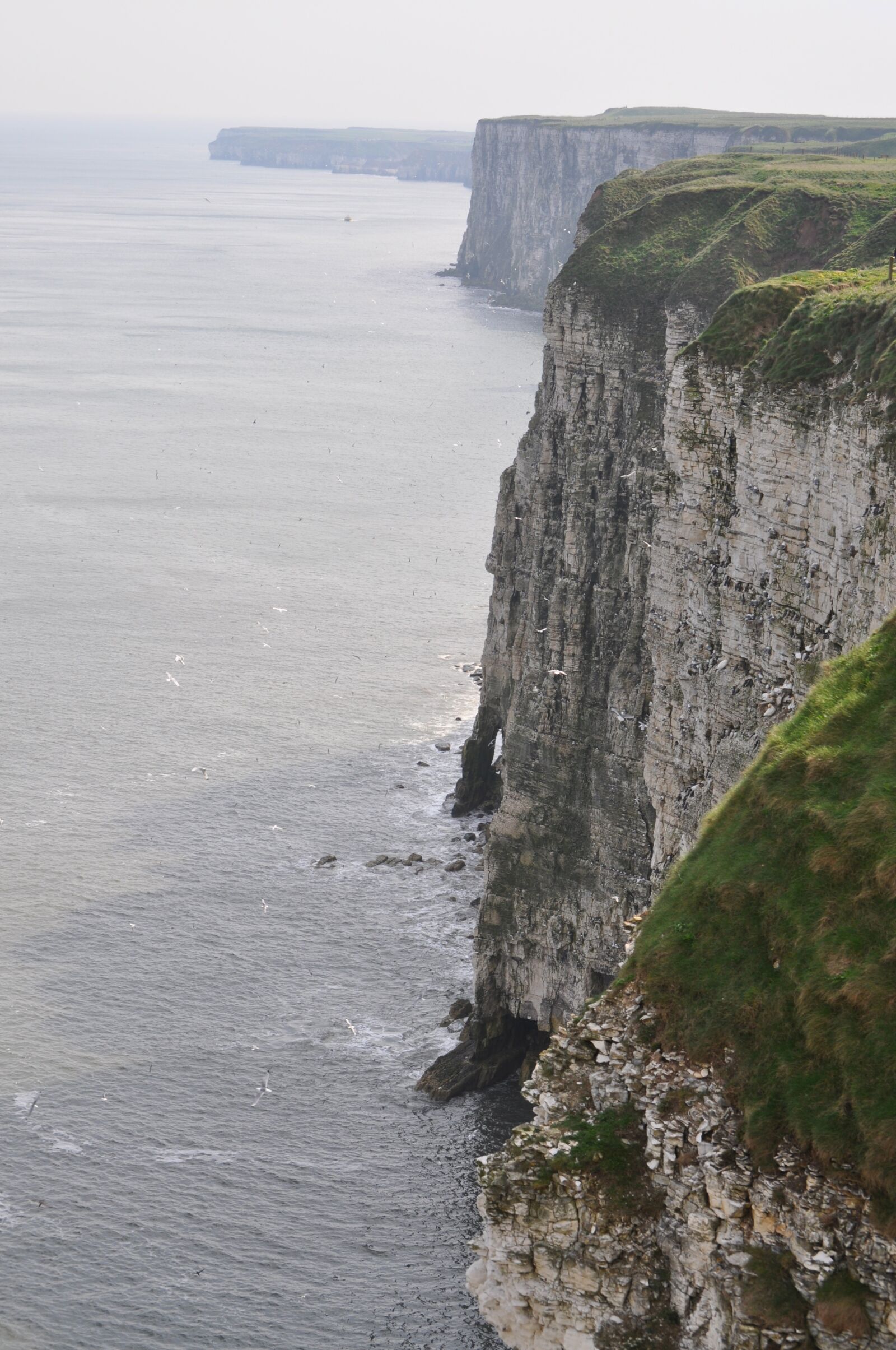 Nikon D5000 sample photo. East yorkshire, flamborough, cliffs photography