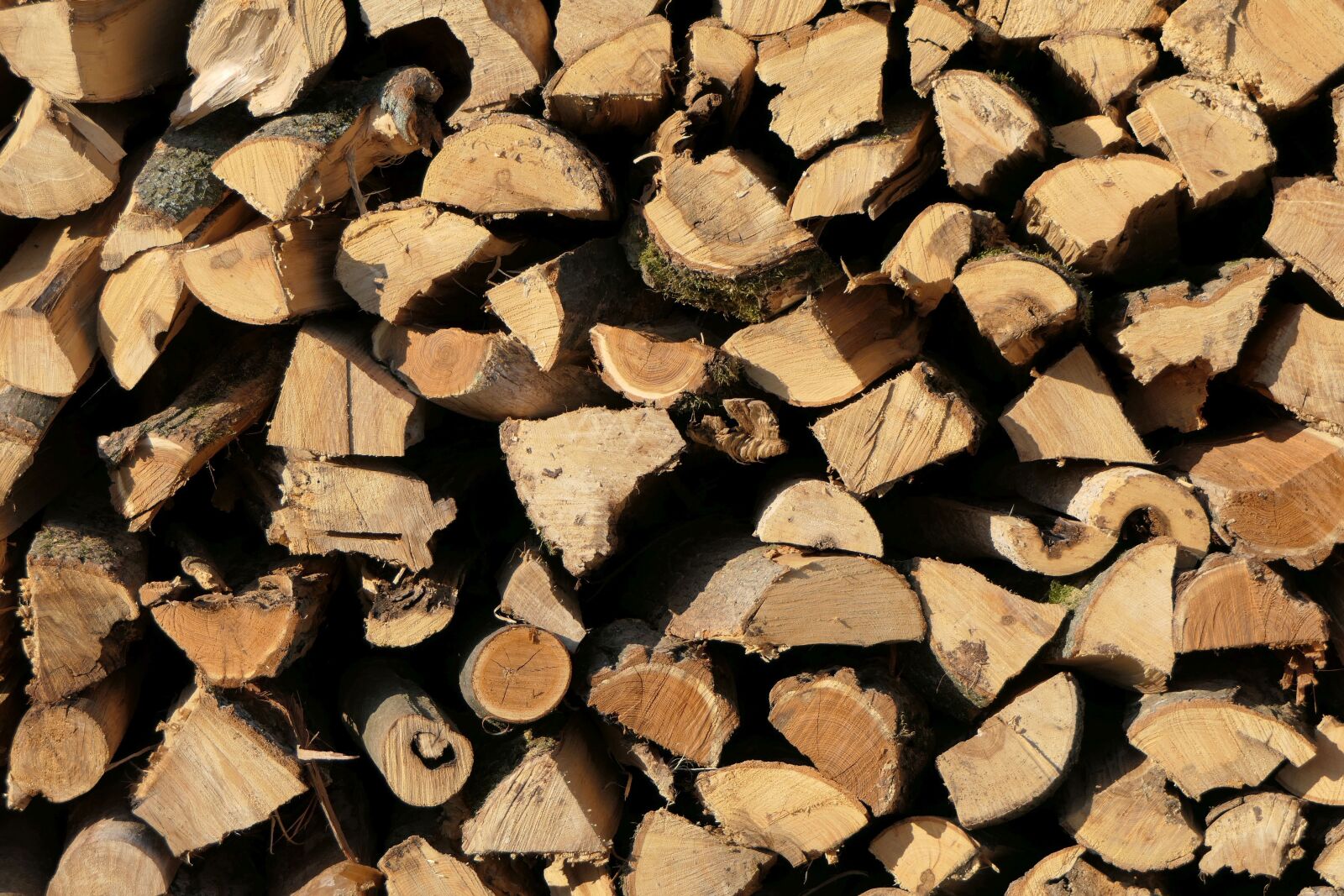Panasonic Lumix DMC-FZ2500 (Lumix DMC-FZ2000) sample photo. Holzstapel, wood, firewood photography