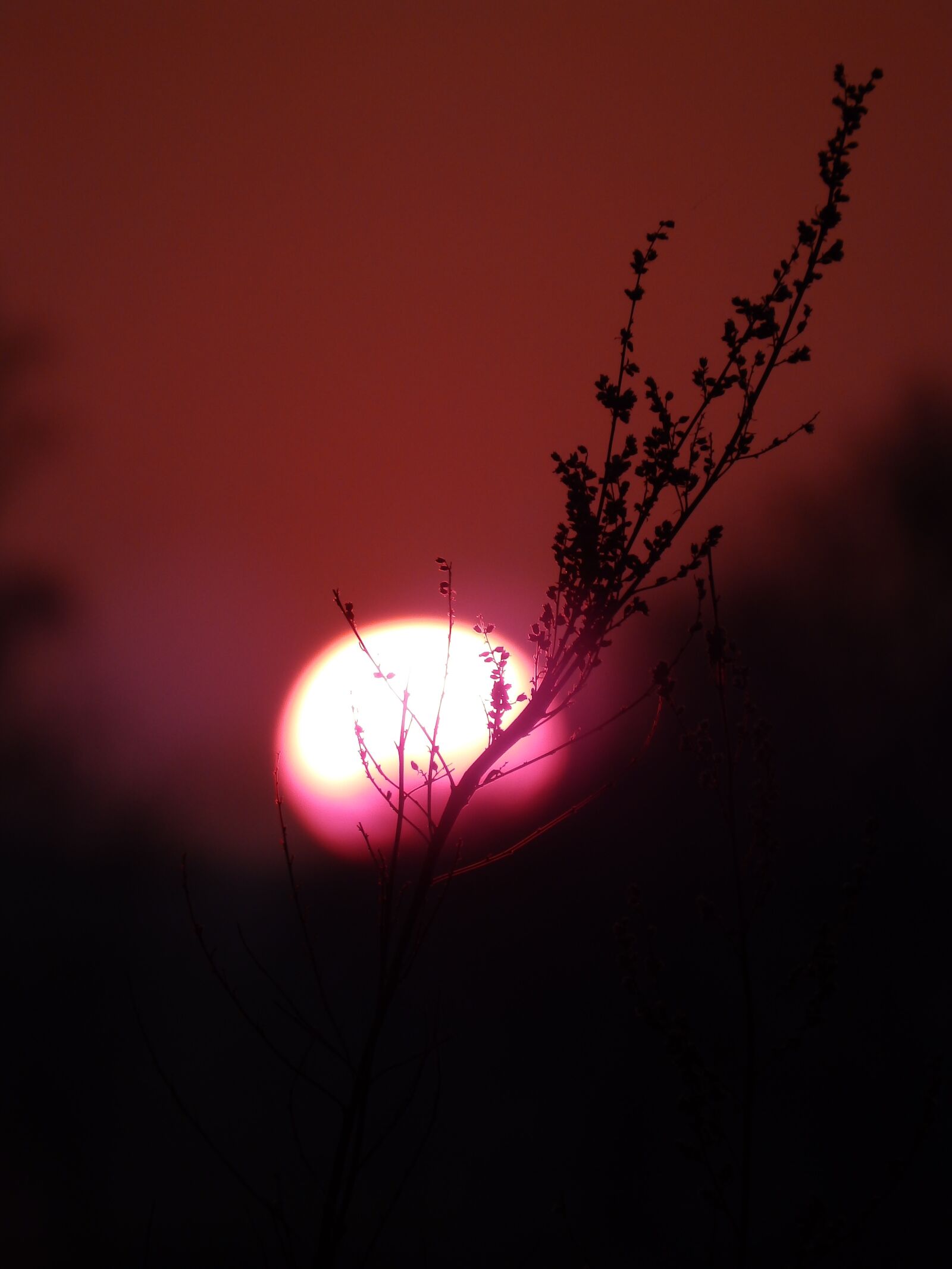 Olympus SP-820UZ sample photo. Sunset, blood, night photography