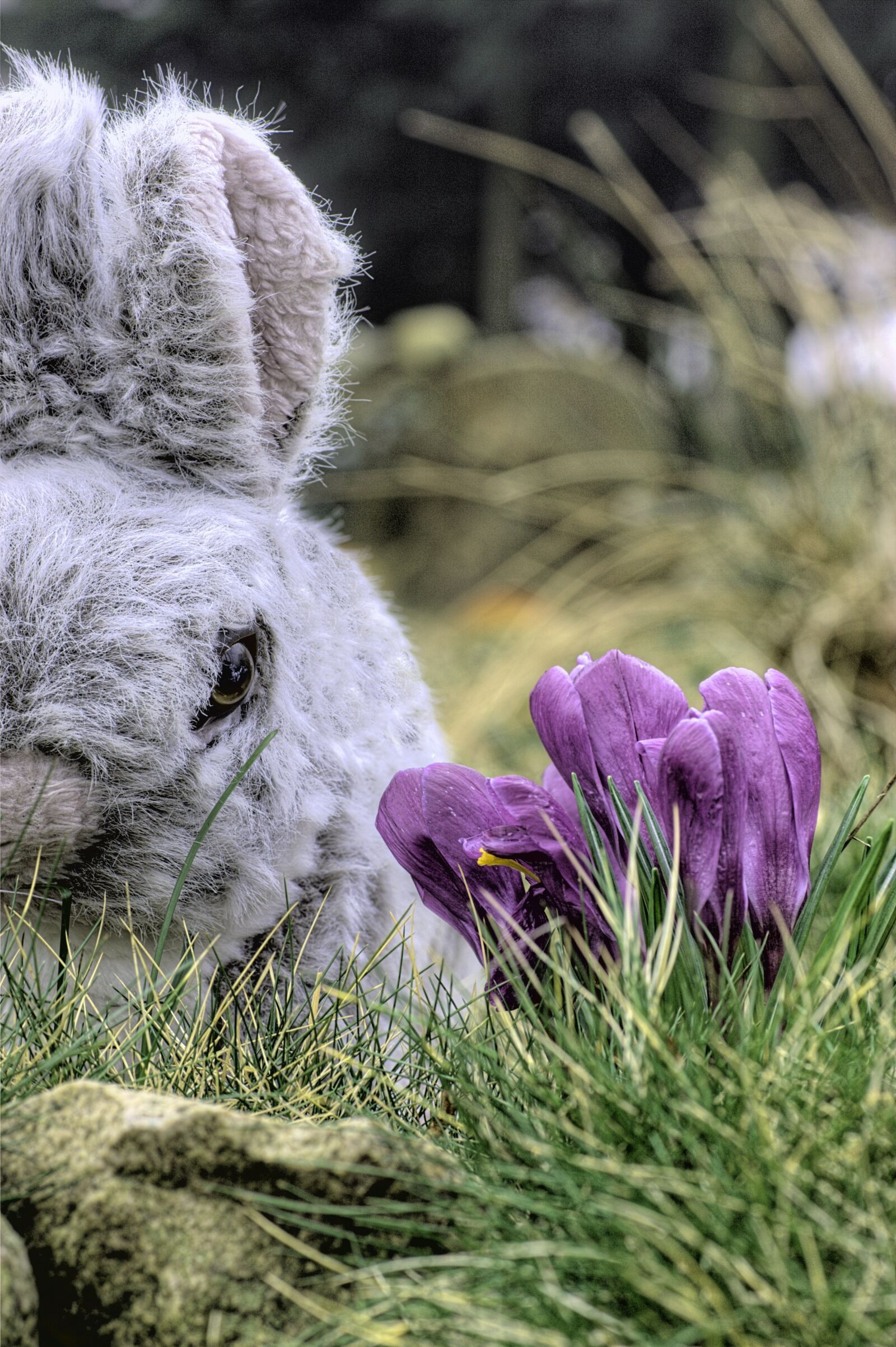 Canon EOS 40D sample photo. Plush bunny, hare, stuffed photography