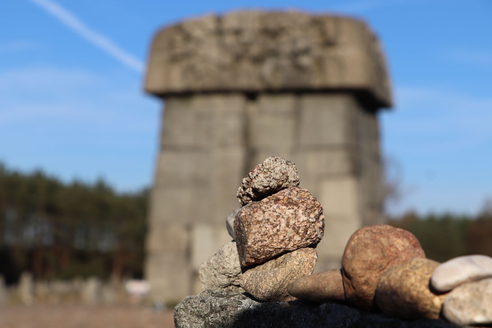 Canon EOS 77D (EOS 9000D / EOS 770D) sample photo. Treblinka, poland, europe photography