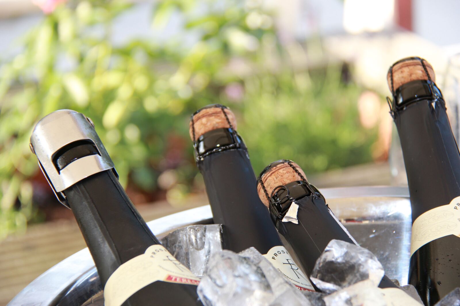 Canon EF-S 18-200mm F3.5-5.6 IS sample photo. Bottle, wine, drink photography