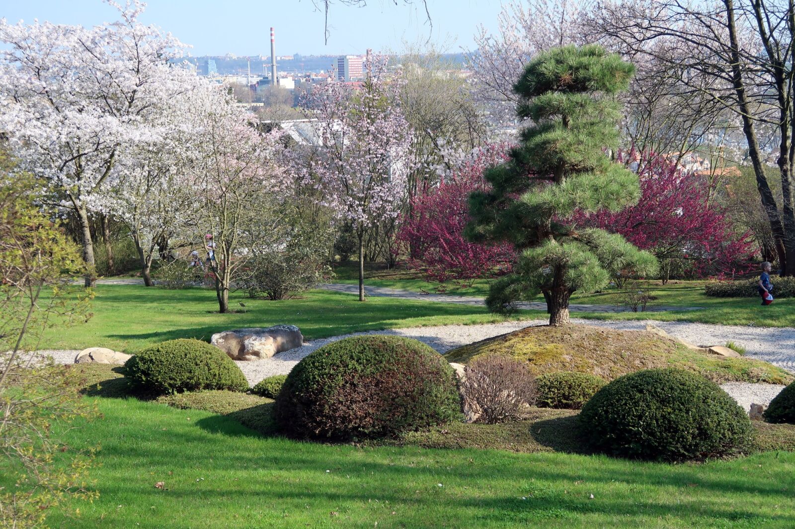 Canon PowerShot G7 X Mark II sample photo. Japanese garden, flowering, spring photography