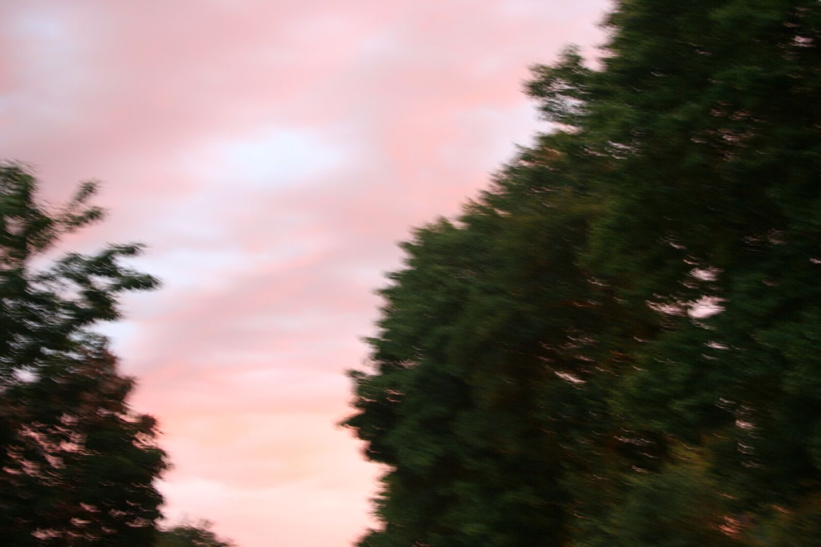 Canon EOS 350D (EOS Digital Rebel XT / EOS Kiss Digital N) sample photo. Pink, the background, valentine photography