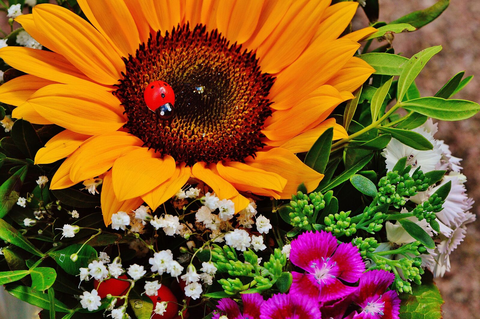 Nikon D3200 sample photo. Bouquet, sunflower, summer photography