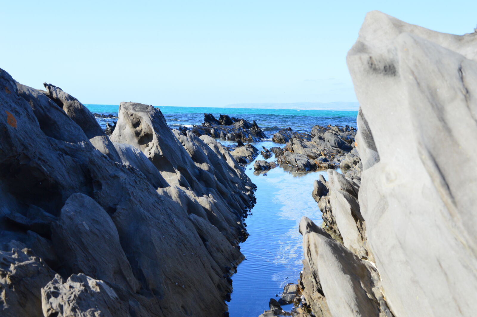Nikon D3200 sample photo. Summer photography