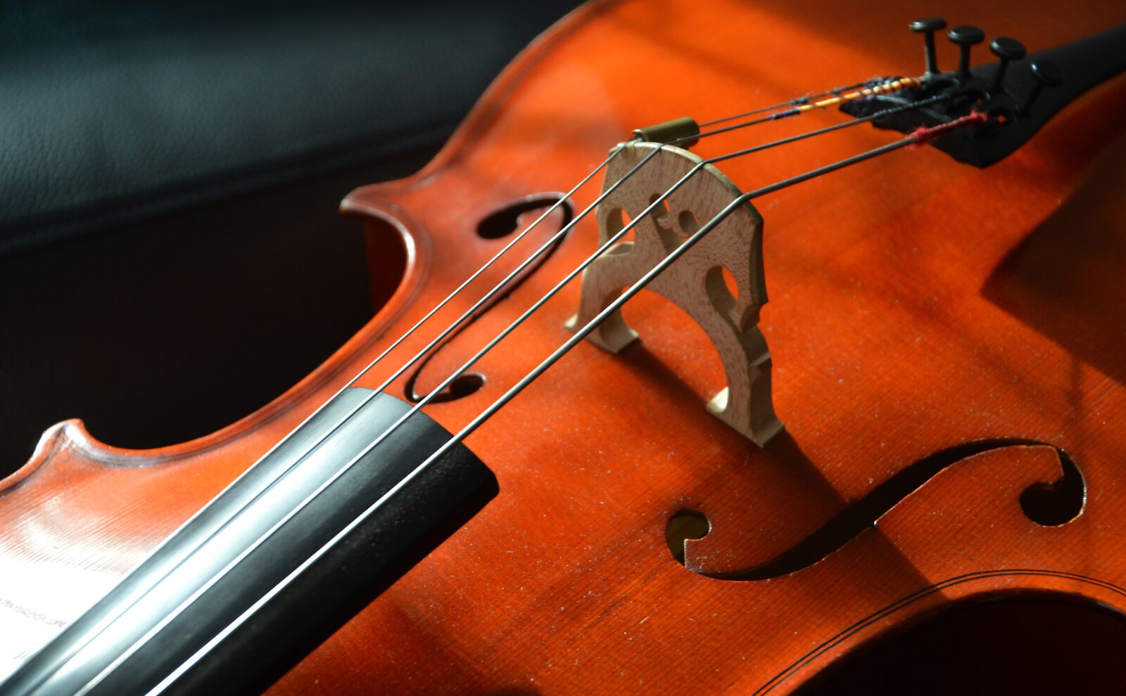 Nikon D3200 sample photo. Cello, strings, stringed instrument photography