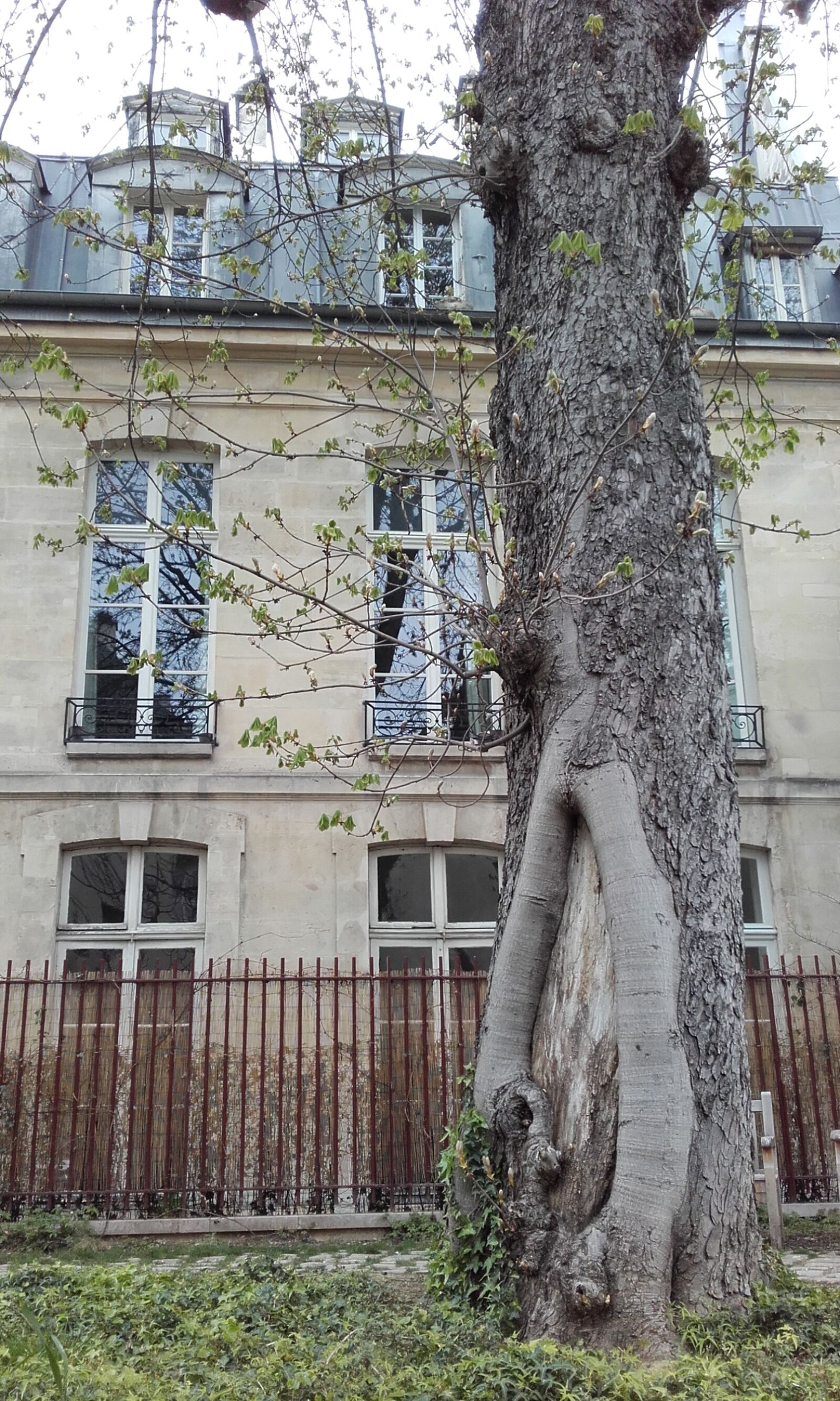 Samsung Galaxy Core Prime sample photo. Paris, architecture, garden photography