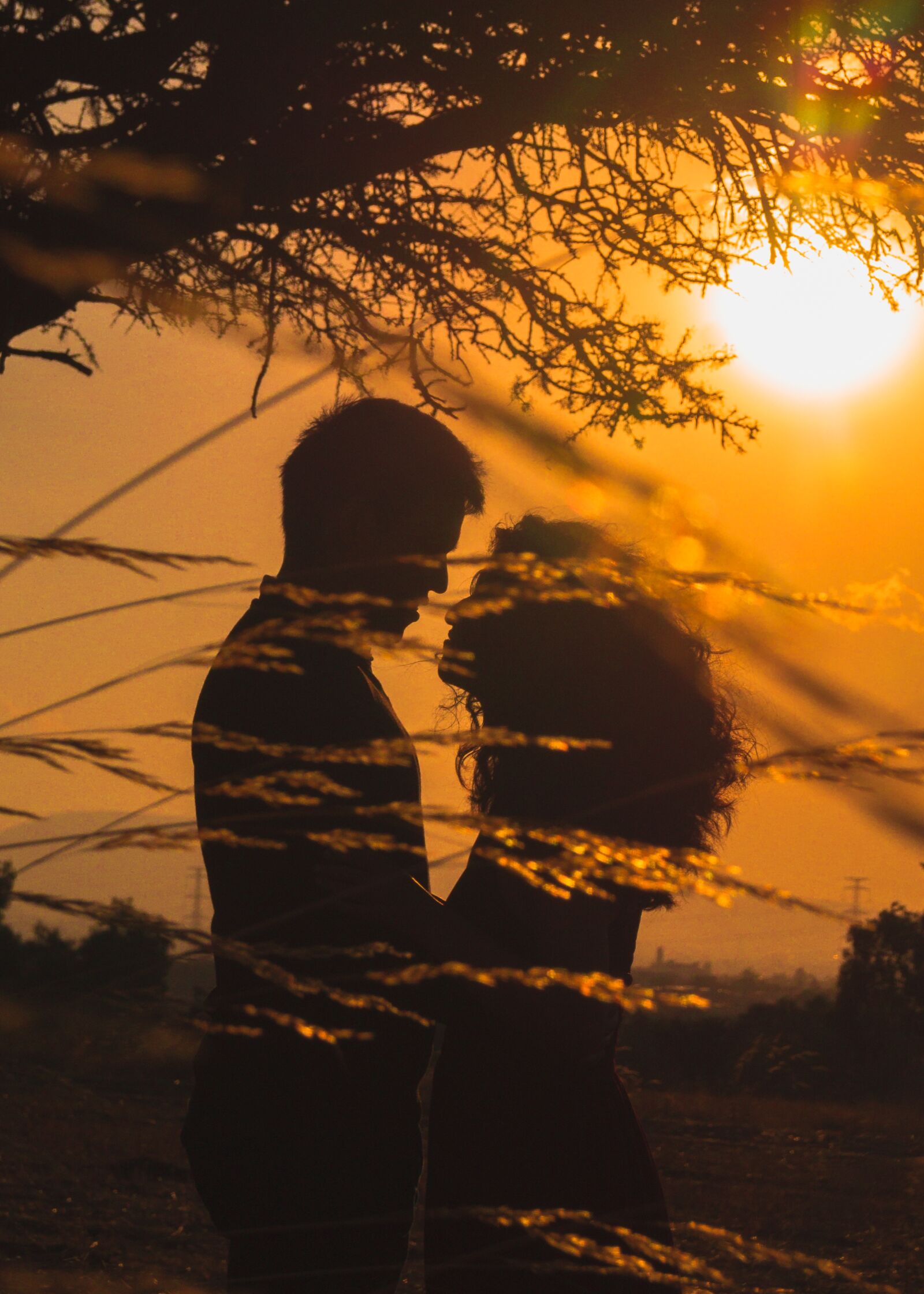 Sony SLT-A37 sample photo. Couple, sunset, love photography