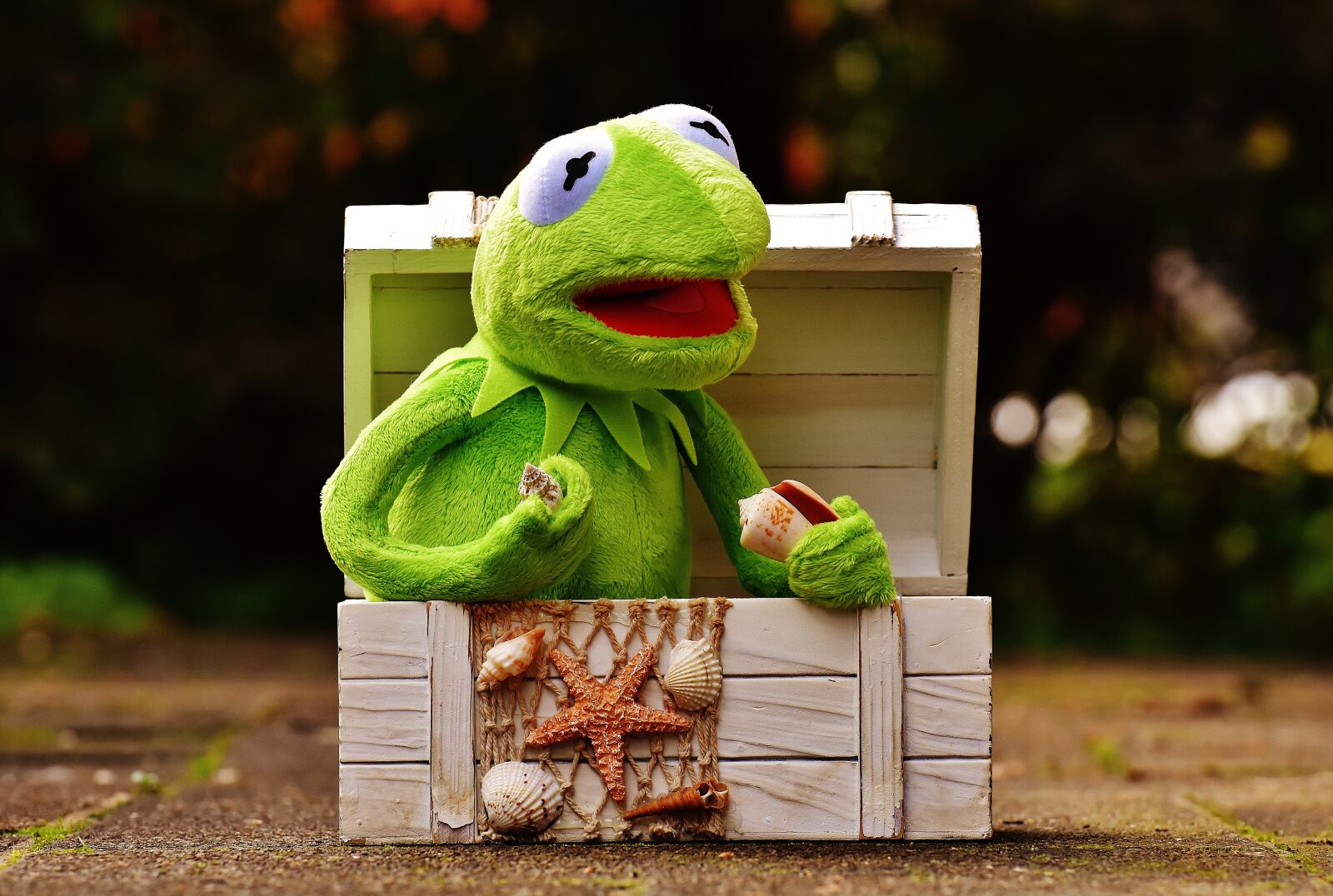 Nikon D7200 sample photo. Kermit, frog, chest photography