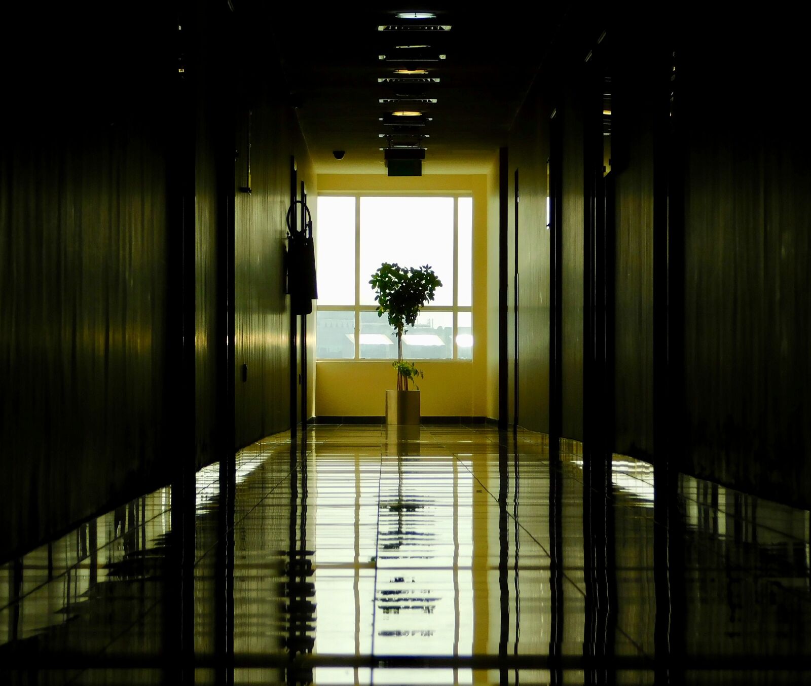 Nikon Coolpix B500 sample photo. Color, indoor, reflection, wood photography