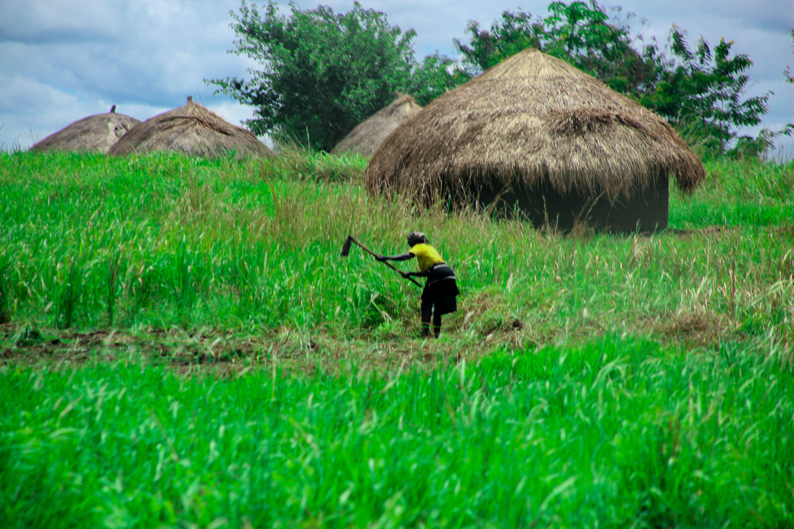 Canon EF 75-300mm f/4-5.6 sample photo. Africa, agricultural, cultivating, farming photography