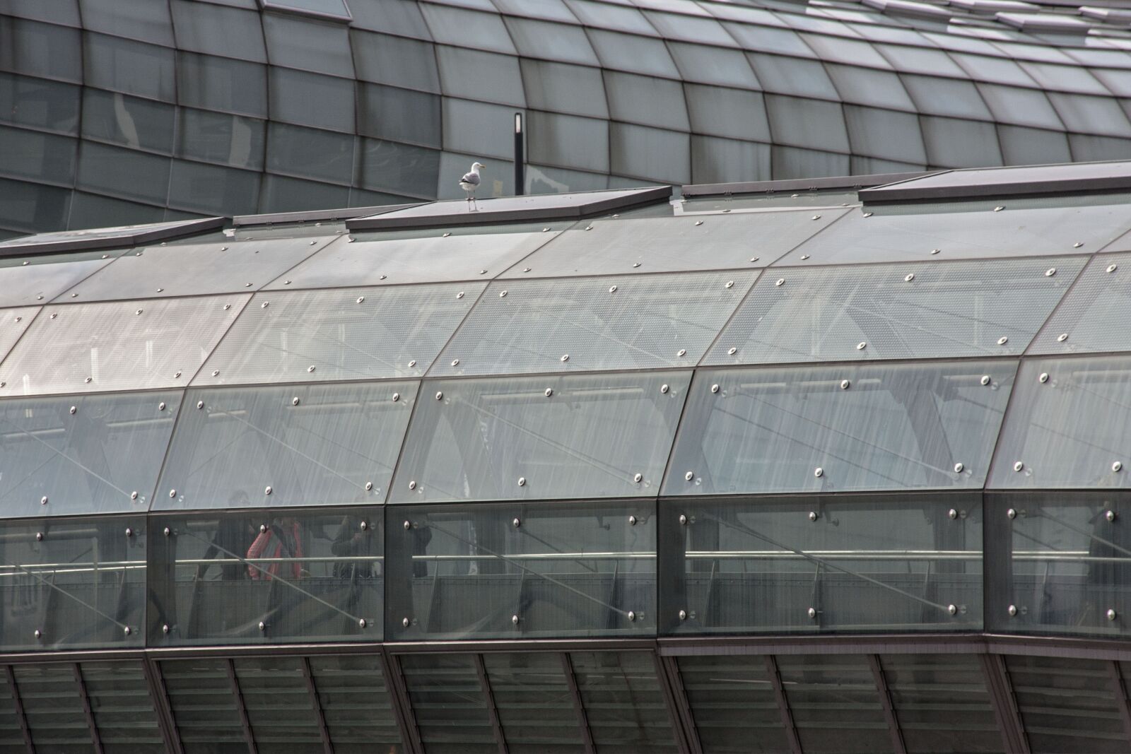 Canon EOS 40D sample photo. Glass, bridge, architecture photography