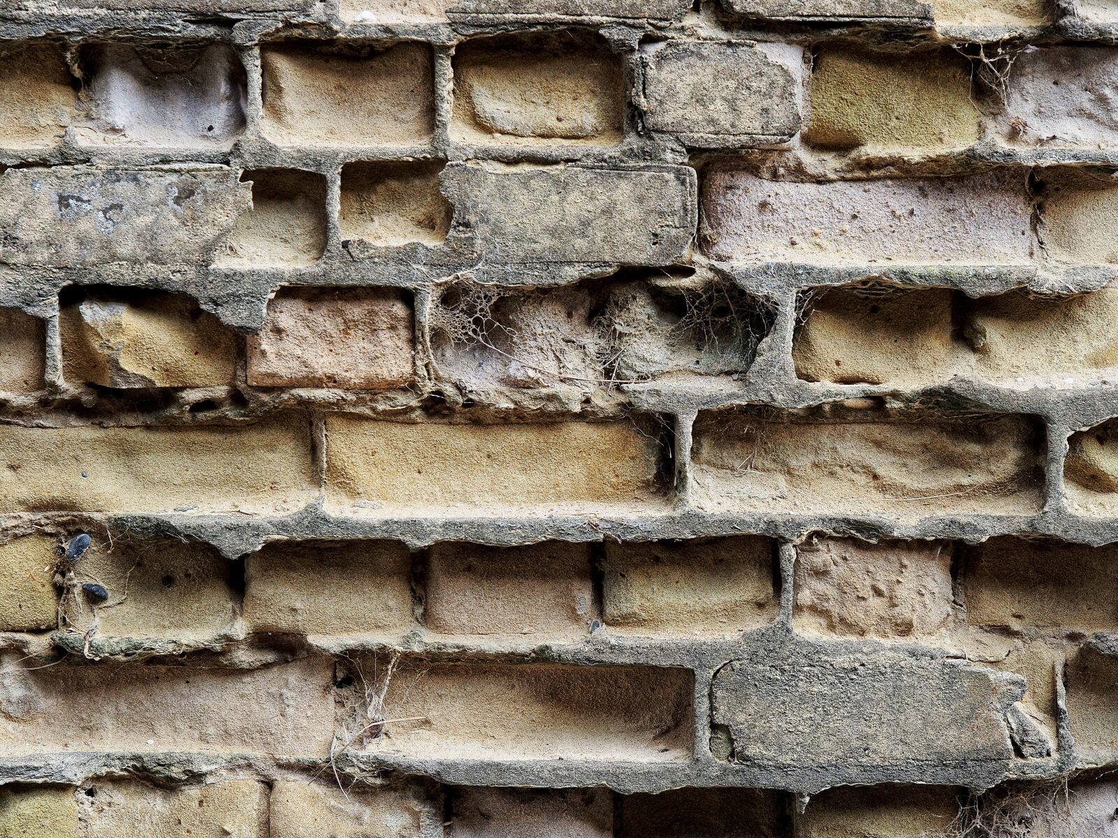 Olympus OM-D E-M5 + Olympus M.Zuiko Digital ED 12-40mm F2.8 Pro sample photo. Brick, erosion, brickwork photography