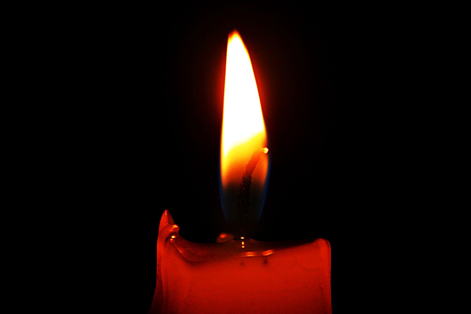 Canon EOS 500D (EOS Rebel T1i / EOS Kiss X3) sample photo. Candle, light, candles photography