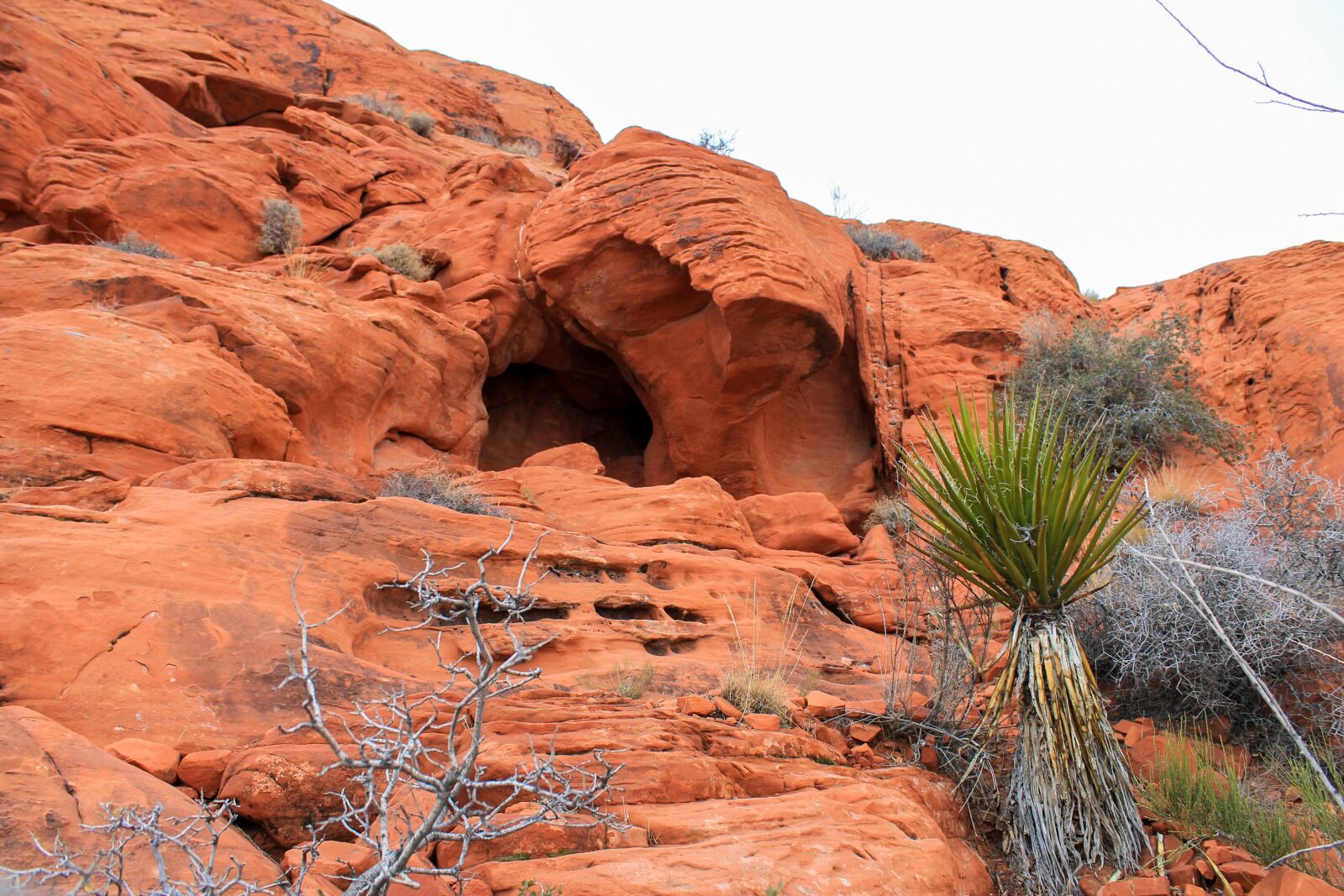 Canon EOS 1100D (EOS Rebel T3 / EOS Kiss X50) sample photo. Utah, red rocks, las photography
