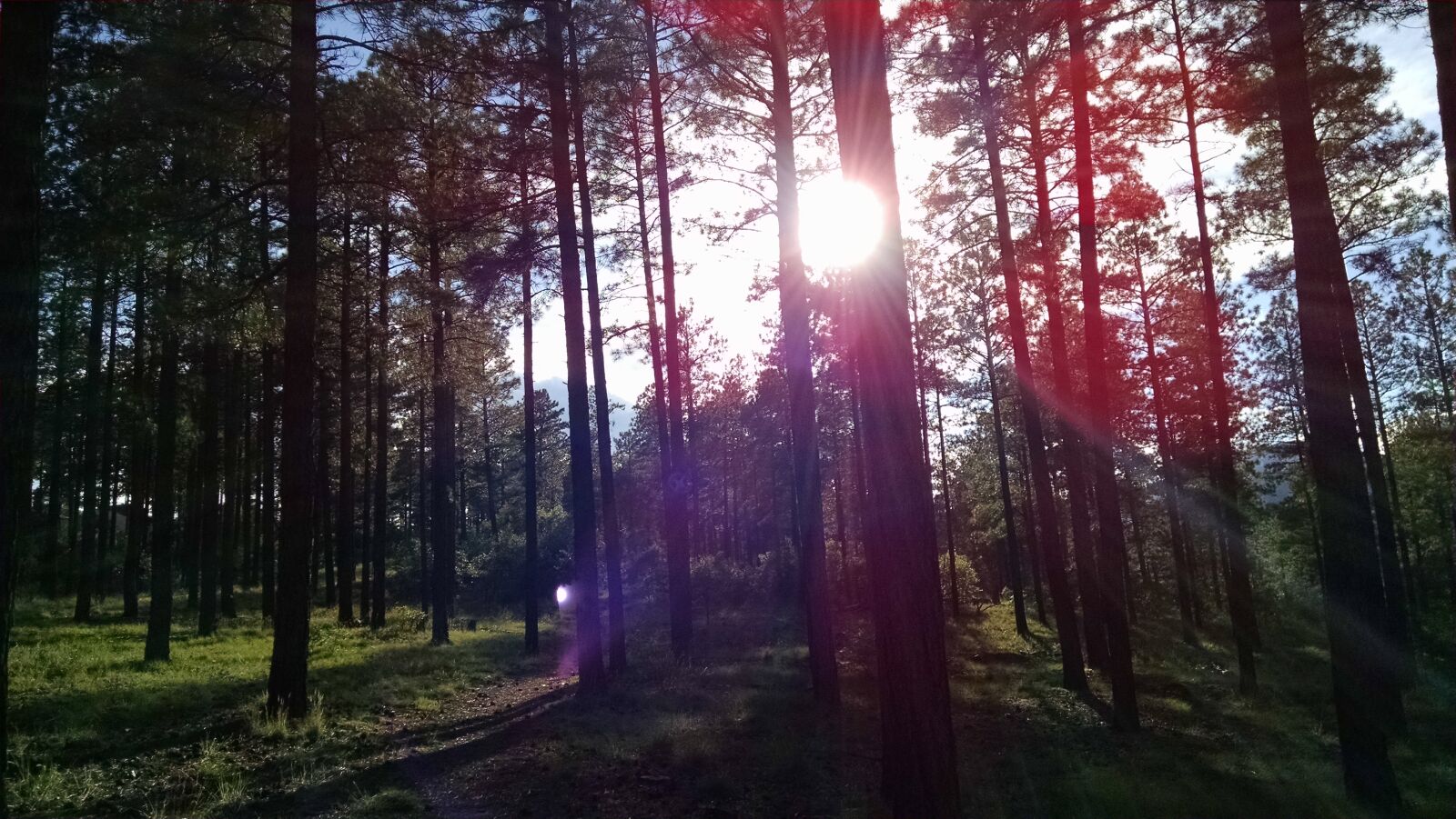 Motorola XT1080 sample photo