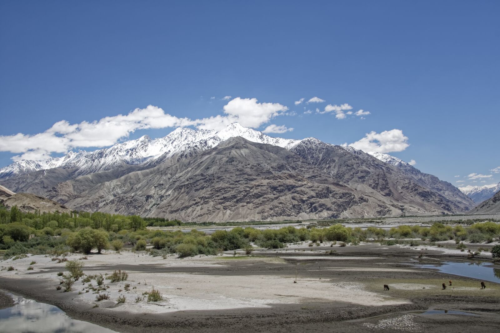 Nikon D500 sample photo. Tajikistan, province of mountain-badakhshan photography
