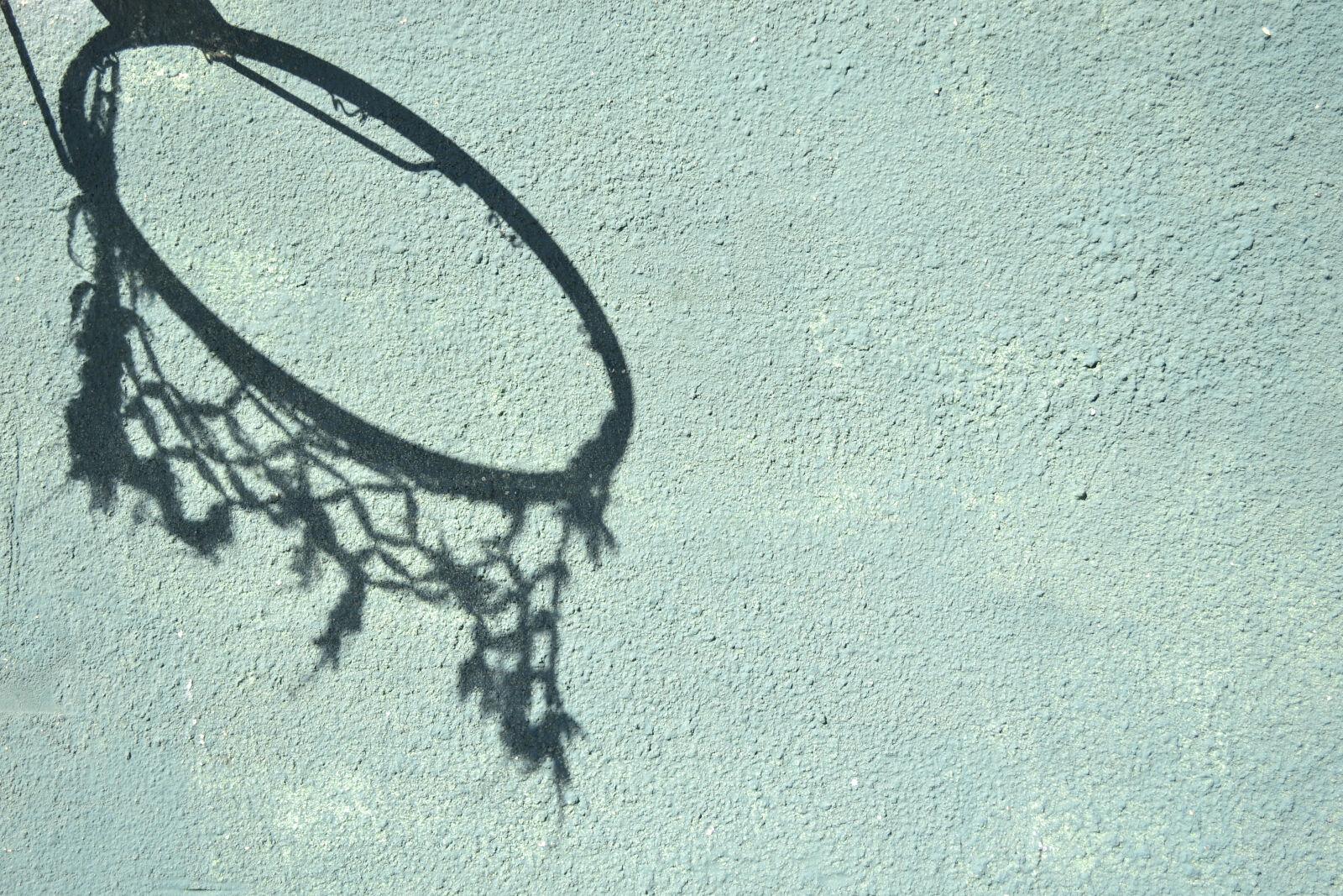 Nikon D3100 sample photo. Basket, of, shadow photography