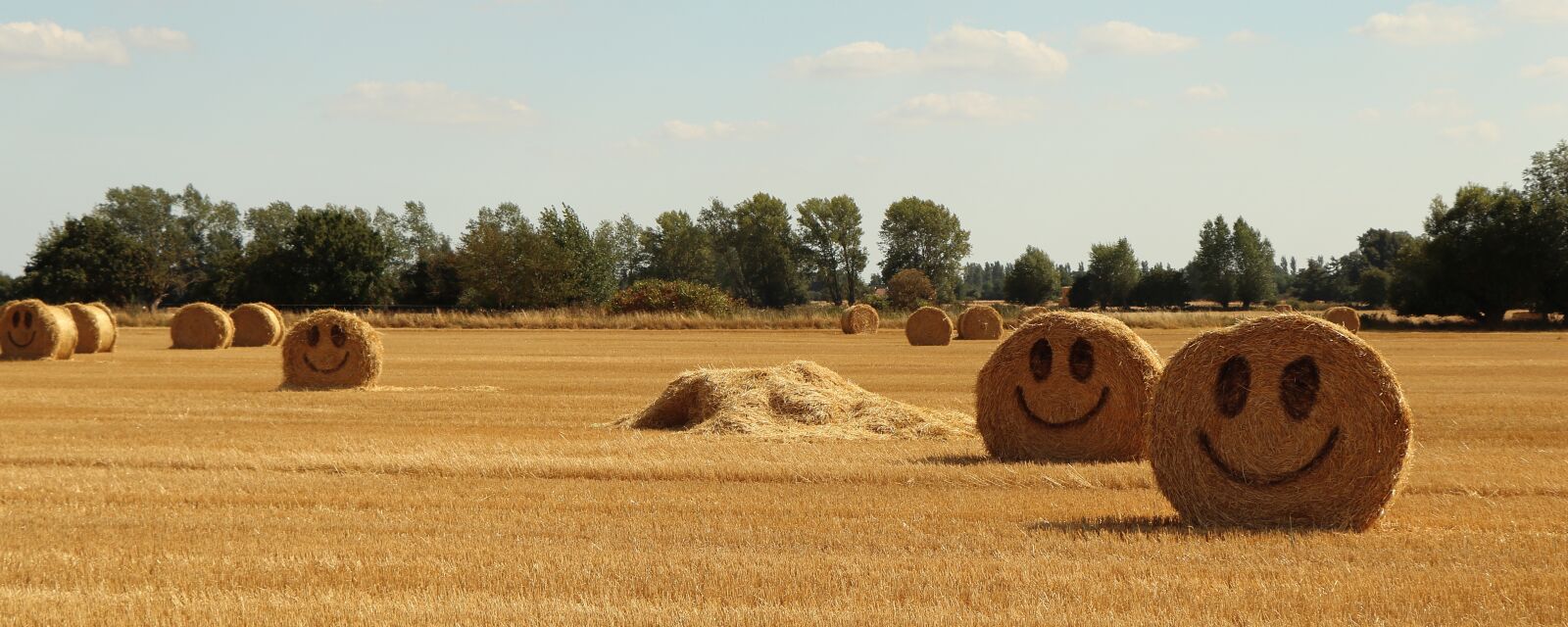 Canon EOS 77D (EOS 9000D / EOS 770D) sample photo. Straw, halmballe, agriculture photography