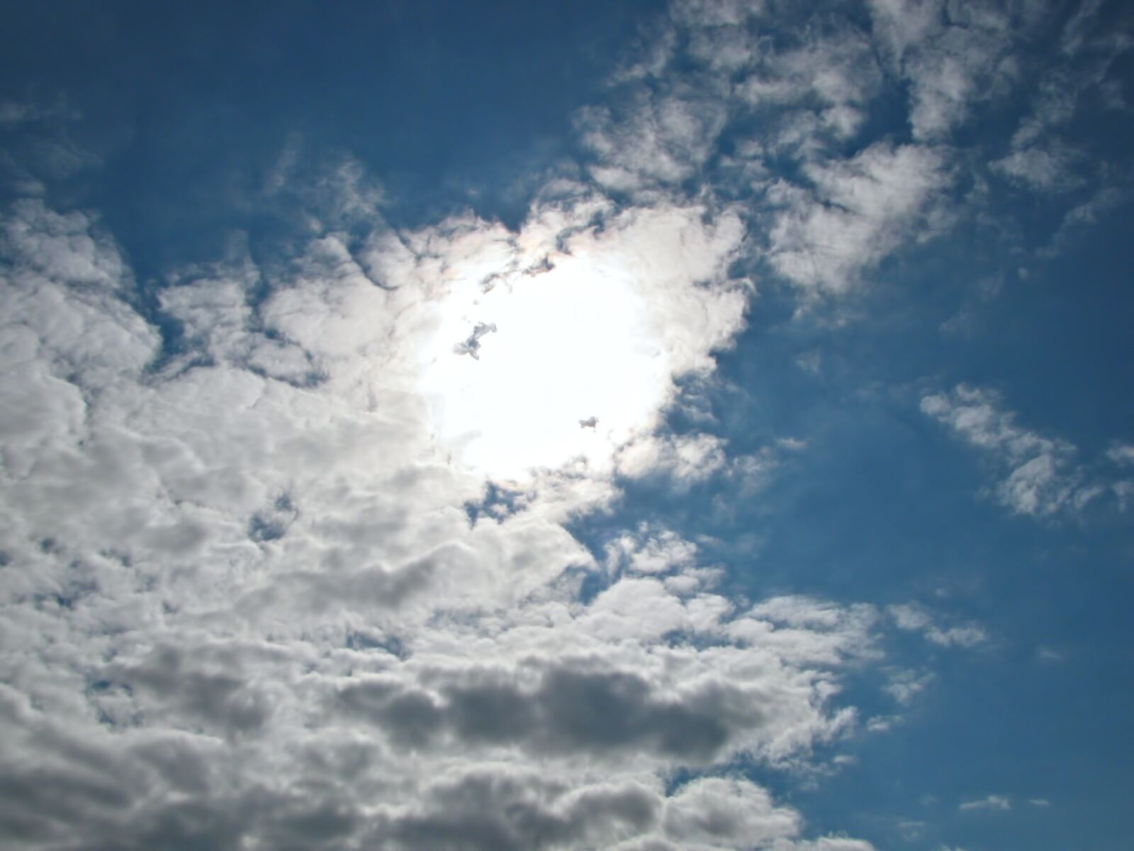 Canon PowerShot SX110 IS sample photo. Sun, sunny, sunlight photography