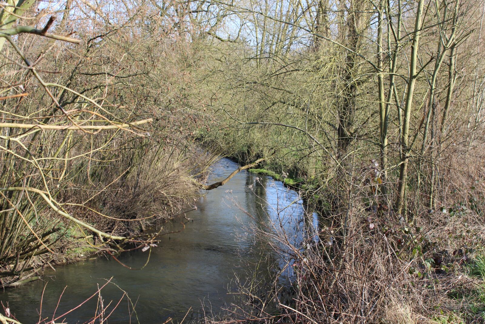 Canon EOS 600D (Rebel EOS T3i / EOS Kiss X5) sample photo. Mehaigne, river, water courses photography