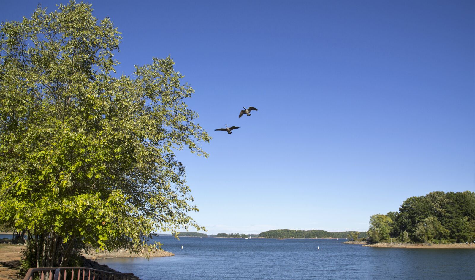 Nikon D610 sample photo. Lake, landscape, sky photography