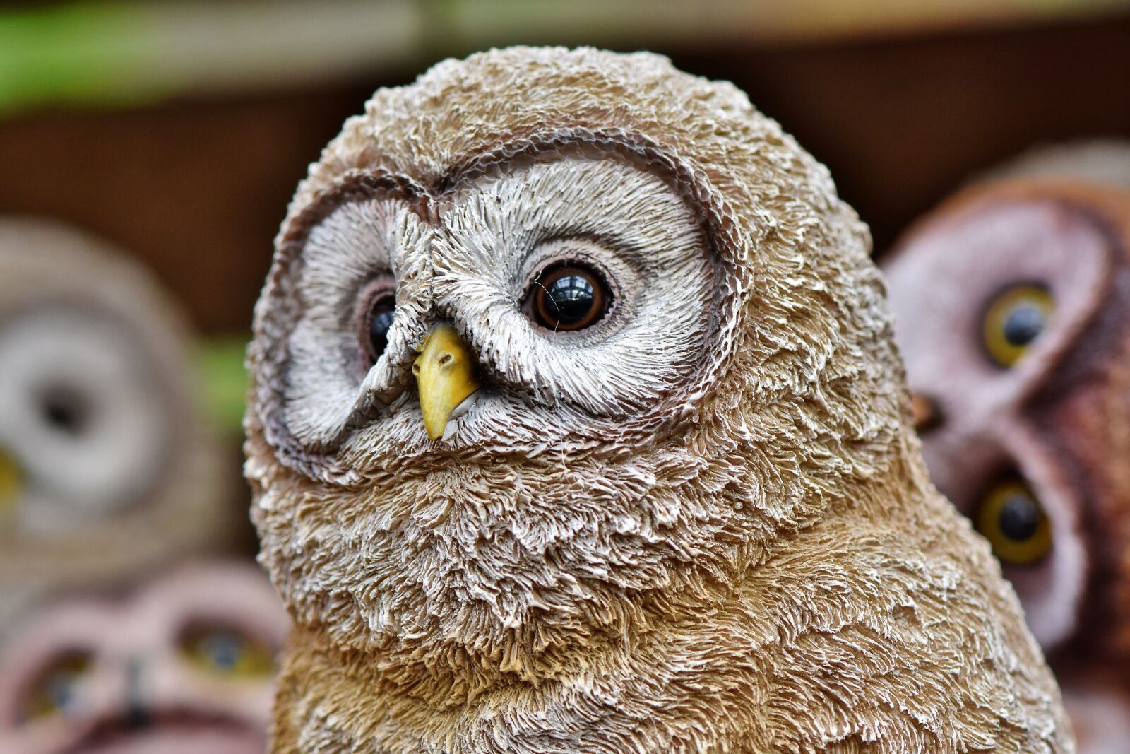Nikon D7200 sample photo. Owl, figure, decoration photography