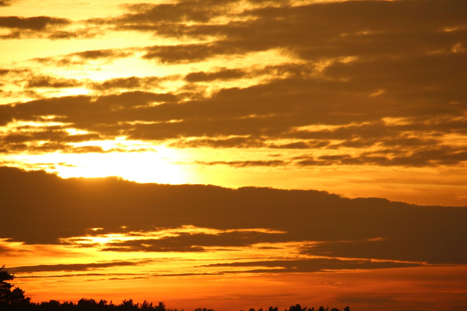 Canon EOS 100D (EOS Rebel SL1 / EOS Kiss X7) sample photo. Sun, sunset, evening sky photography