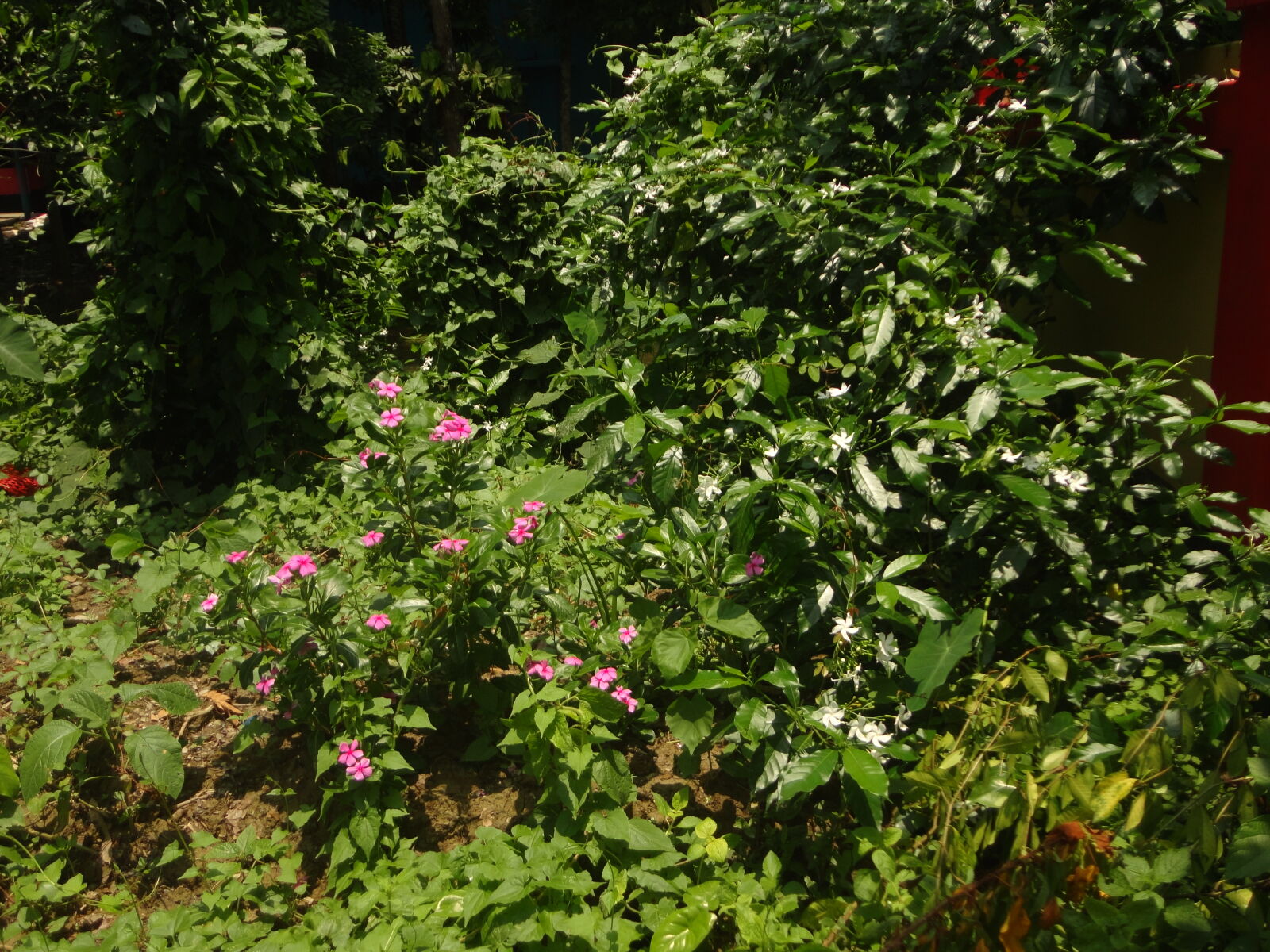Sony Cyber-shot DSC-W570 sample photo