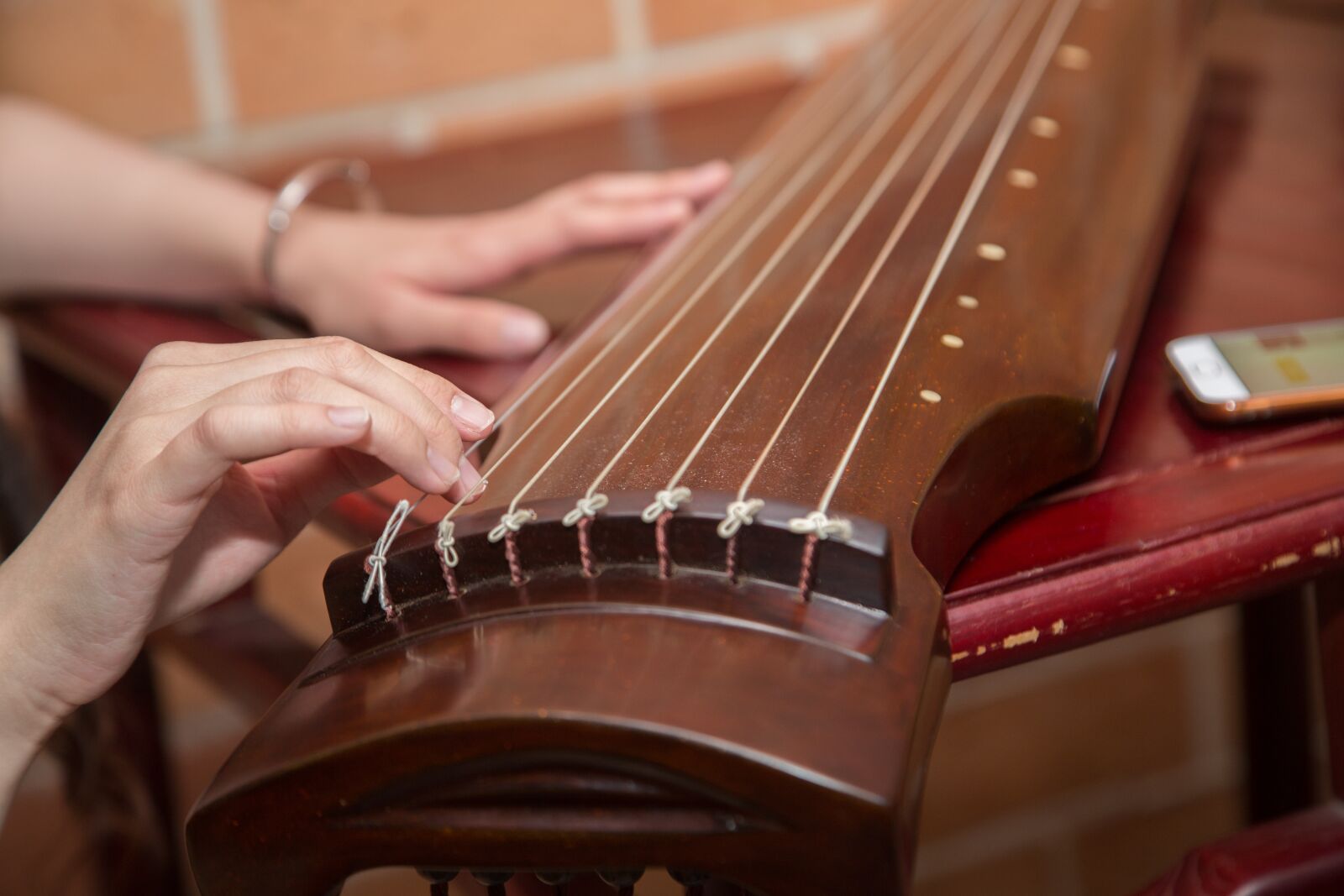 Canon EF 24-105mm F4L IS USM sample photo. Musical instrument, music, string photography