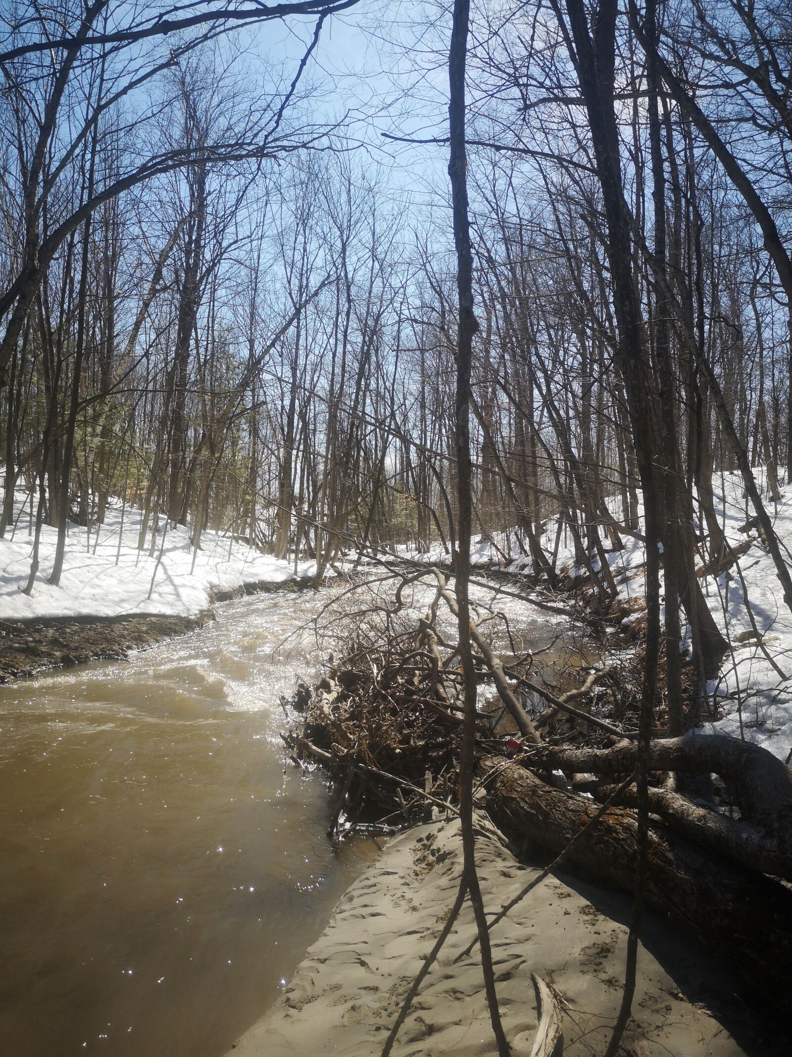 HUAWEI P20 sample photo. River, wood, water photography