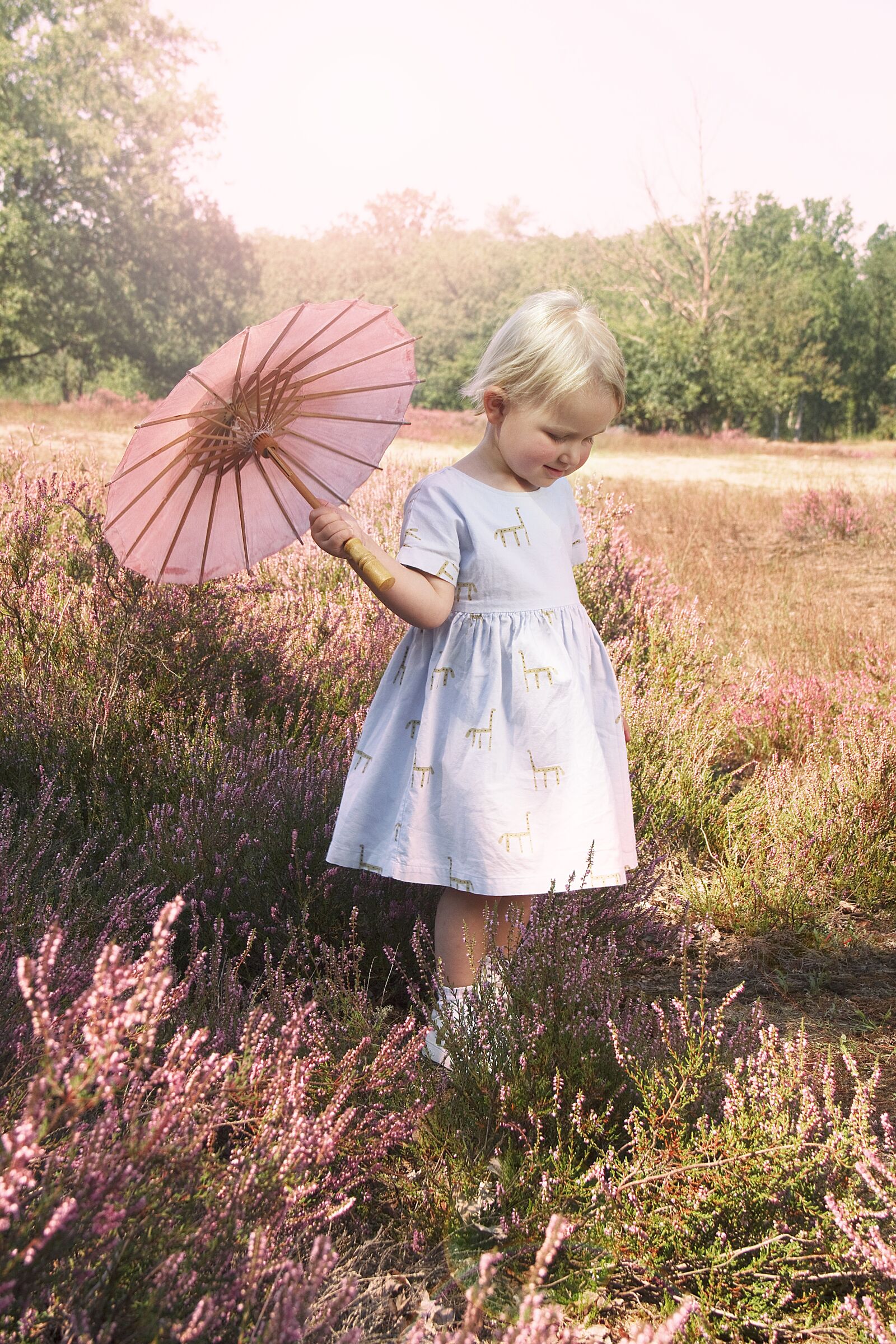 Canon EOS 7D sample photo. Child, heide, spring photography