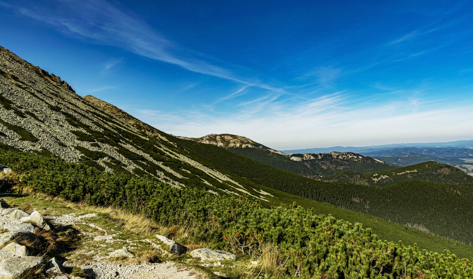 Nikon D5300 sample photo. Slovakia, tatranská thoroughfare, forests photography