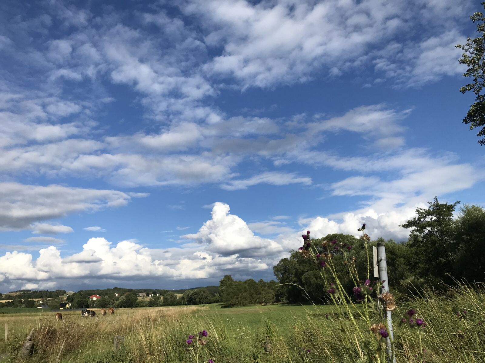 iPhone 7 back camera 3.99mm f/1.8 sample photo. Eifel, cloud, sky photography