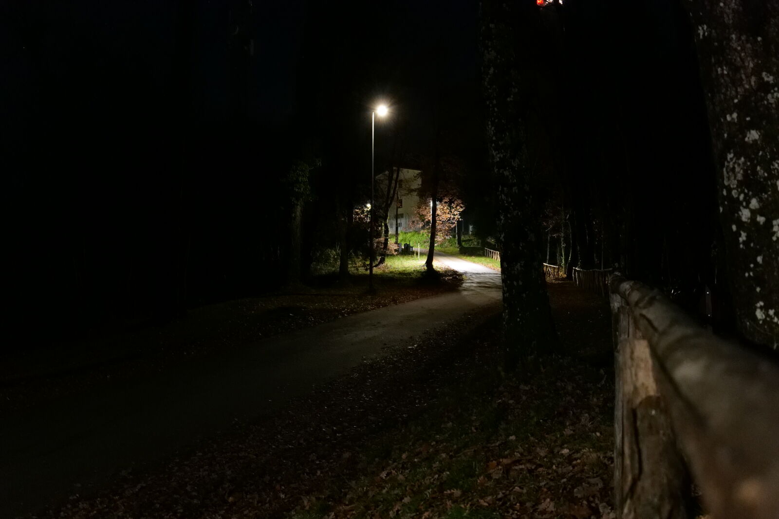 Panasonic DC-S5D sample photo