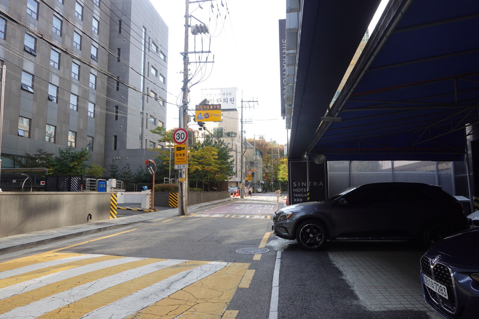 Sony ZV-1 sample photo