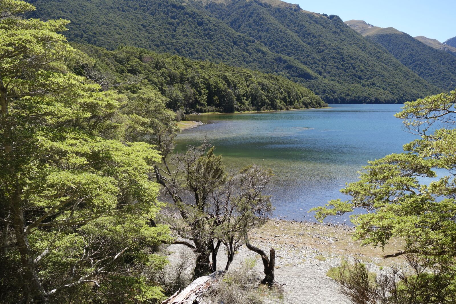 Sony Cyber-shot DSC-RX100 II sample photo. New zealand, south island photography