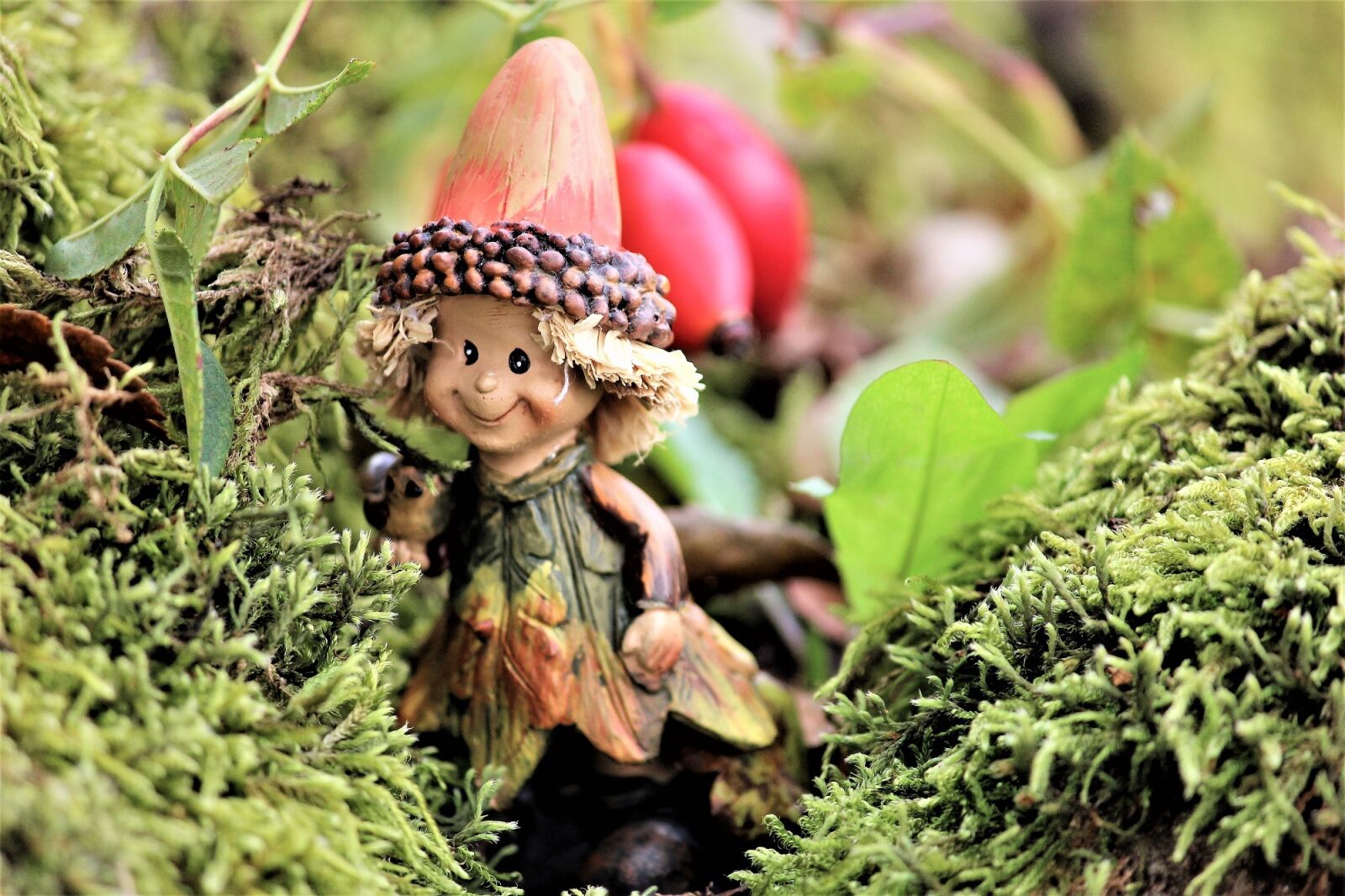Canon EOS 600D (Rebel EOS T3i / EOS Kiss X5) sample photo. Autumn, imp, moss photography
