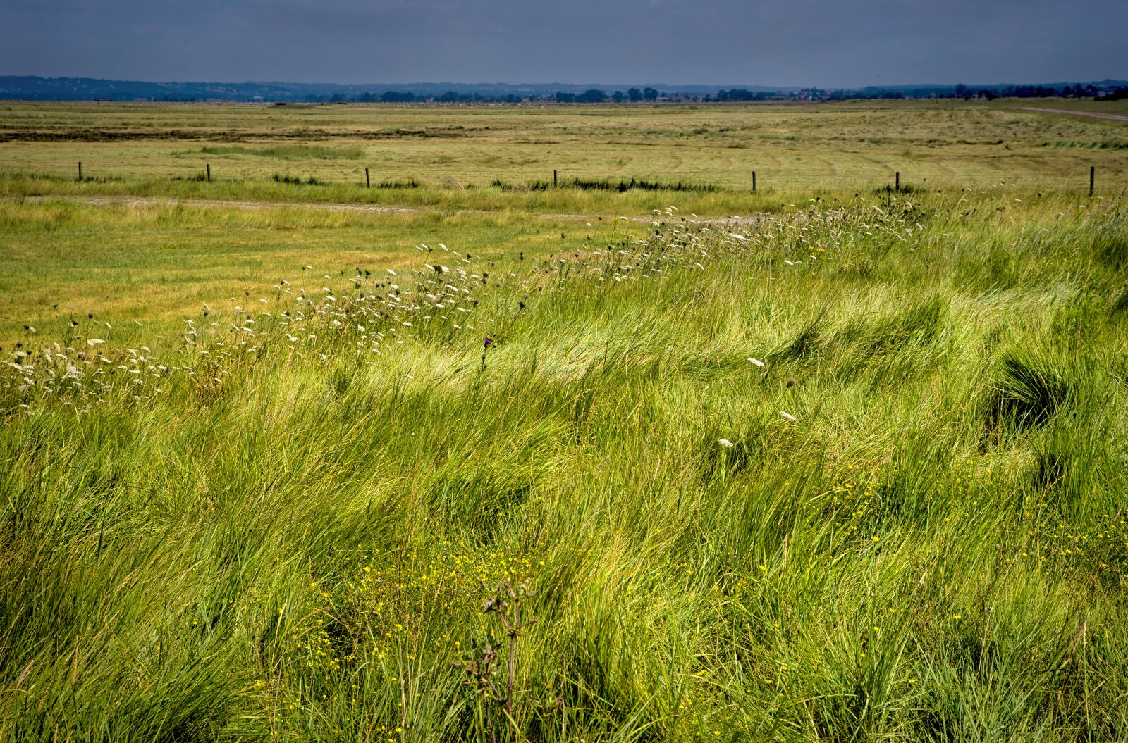 Pentax K-1 Mark II sample photo. Landscape, nature, countryside photography