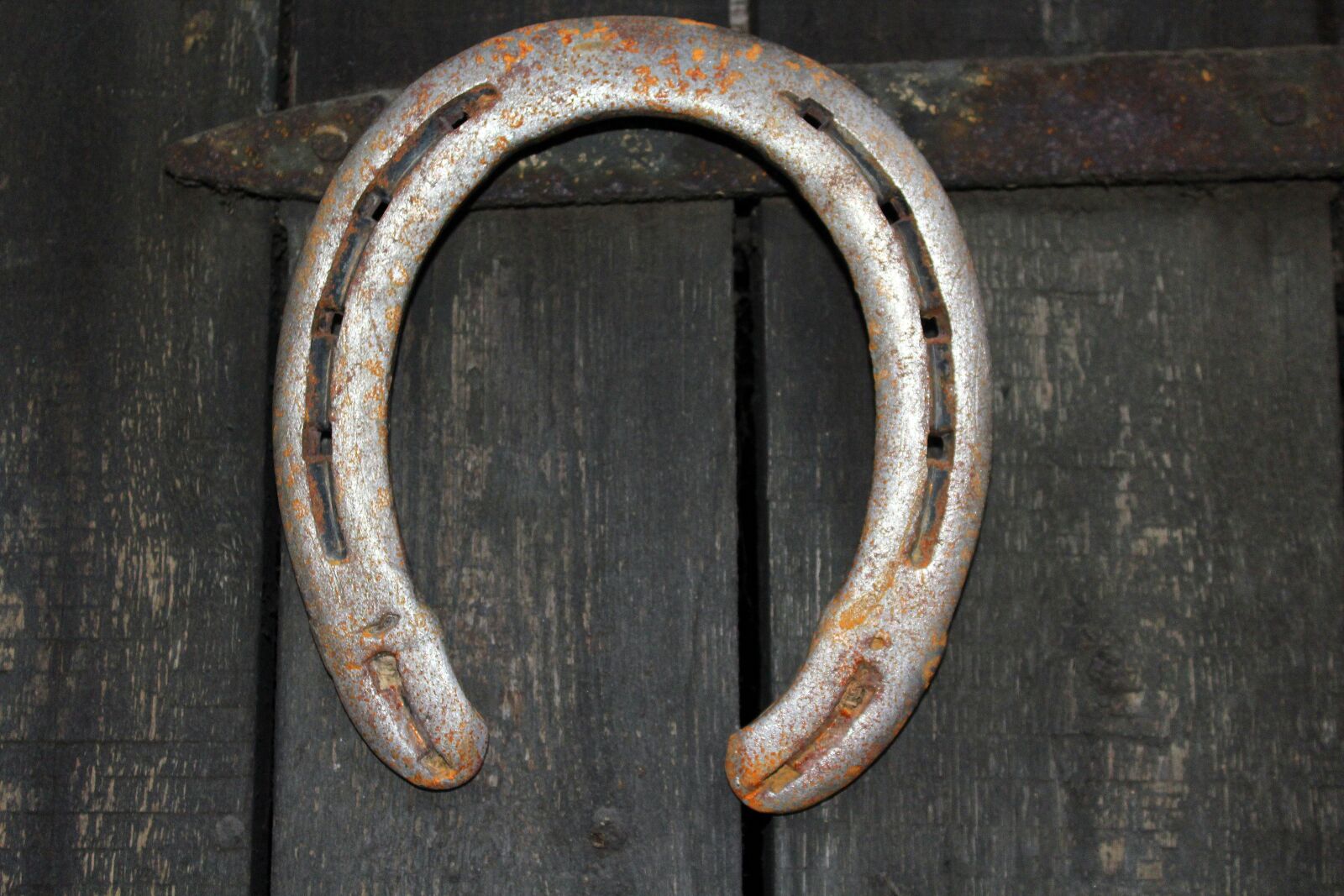 Canon EOS 1200D (EOS Rebel T5 / EOS Kiss X70 / EOS Hi) sample photo. Horseshoe, talisman, symbol photography