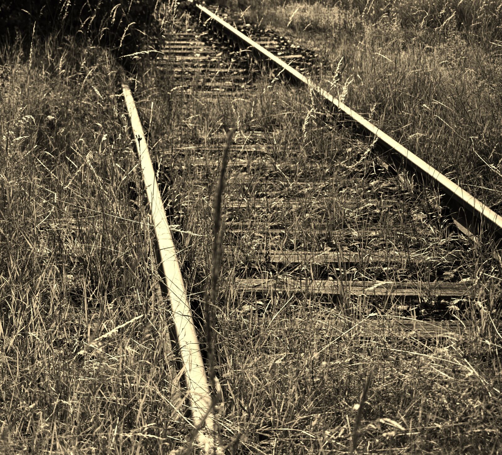 Sony a6000 sample photo. Railroad track, rails, shut photography