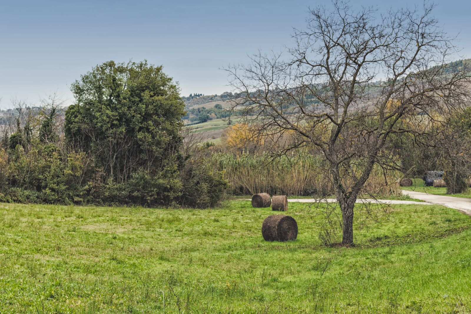 Canon EOS 1300D (EOS Rebel T6 / EOS Kiss X80) sample photo. Landscape, straw, agriculture photography