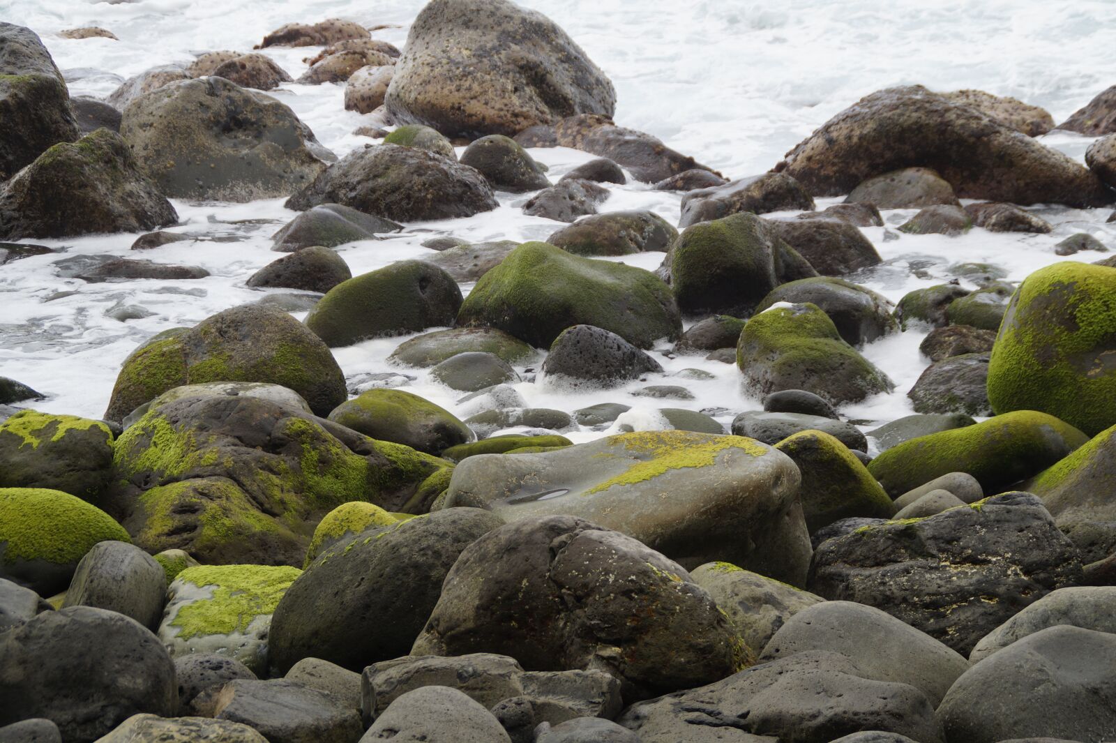 Sony SLT-A58 sample photo. Stones, bank, shore stones photography
